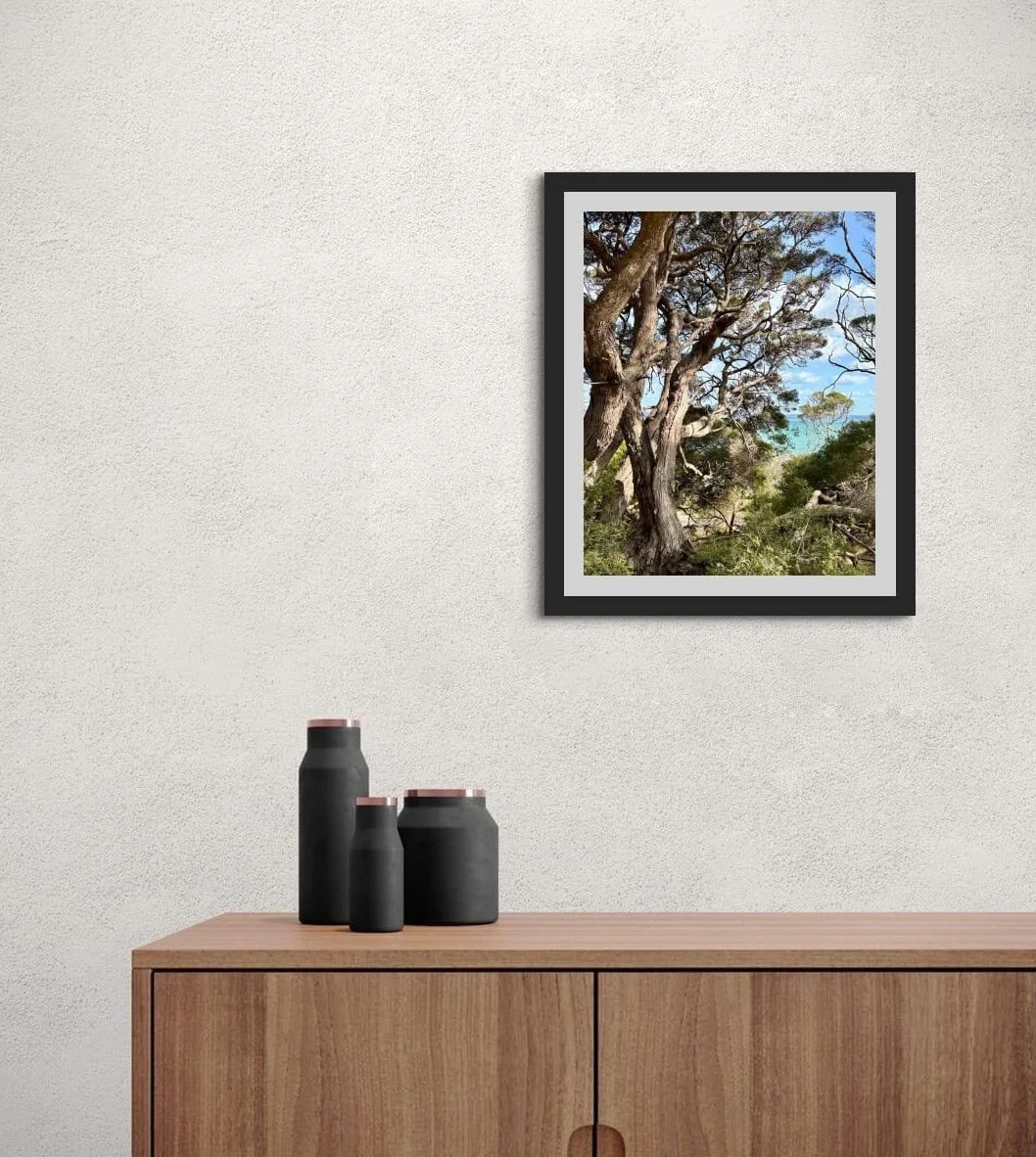 Framed photograph of a wind-shaped coastal tree hanging on a textured light wall above a timber cabinet, styled with three matte black vases.