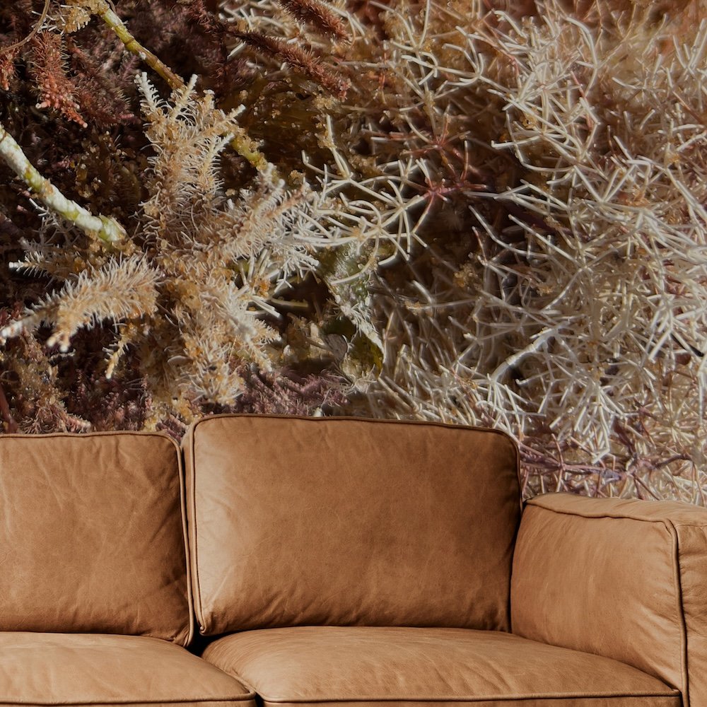Saltflowers Wallpaper Tan Couch Detail Mockup.jpg