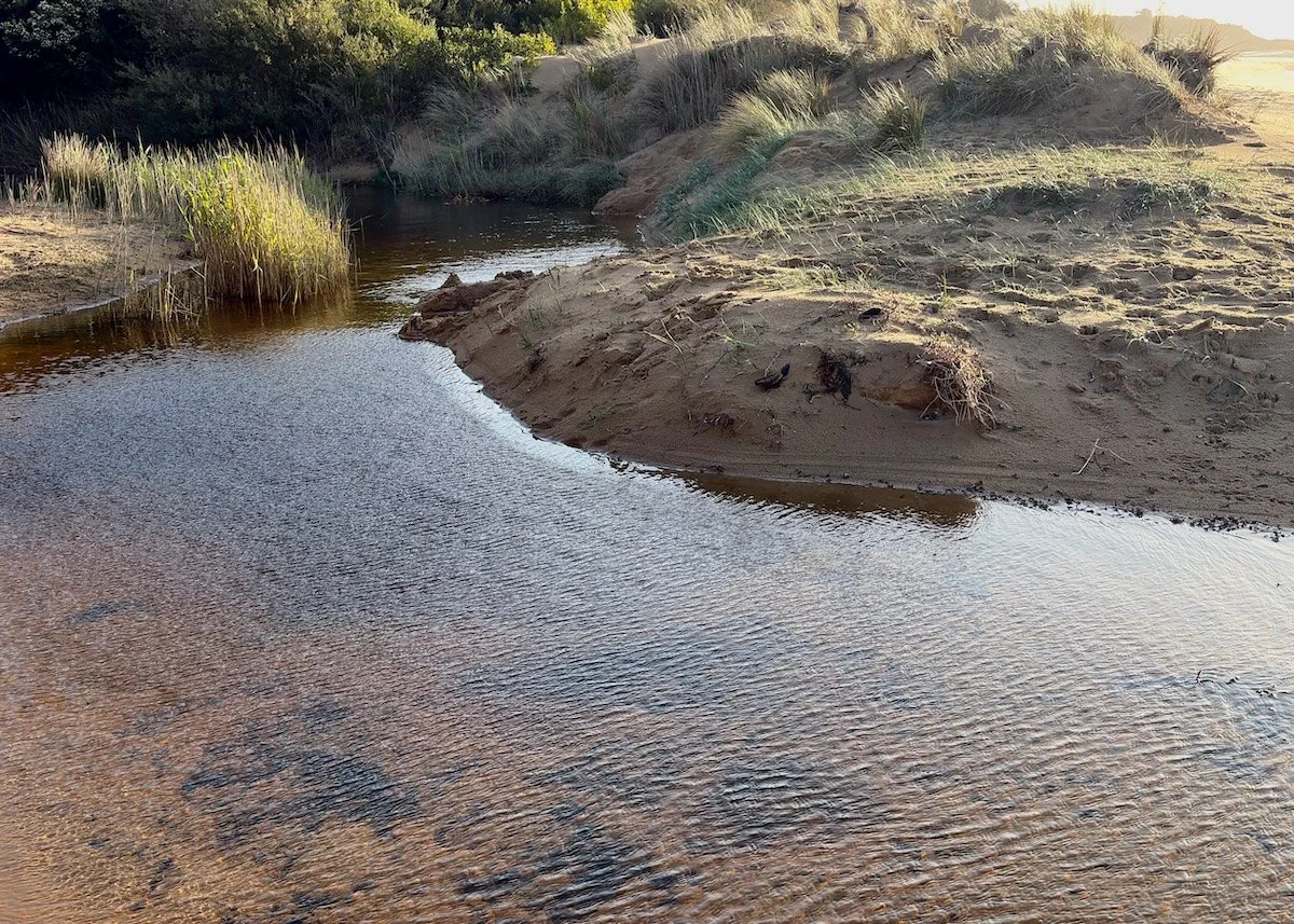 Tannin Creek