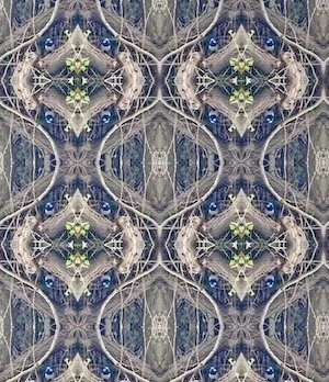 A symmetrical, kaleidoscopic patterned wallpper featuring interconnected geometric shapes and organic elements and a repeating blue wren, with a color palette of blues, greens, and neutral tones.