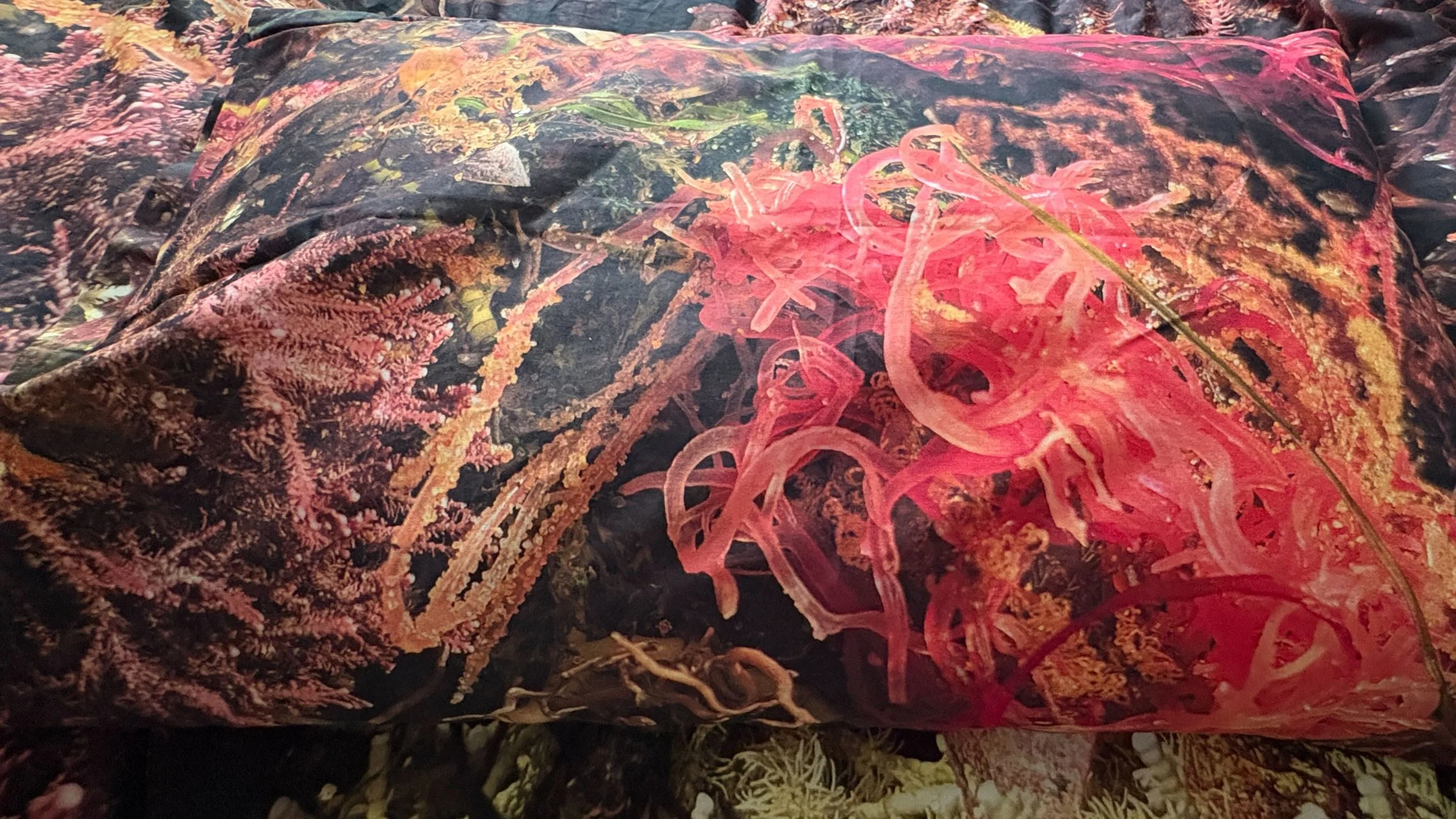 Shot of Pink Seaweed Pillowcase.jpeg