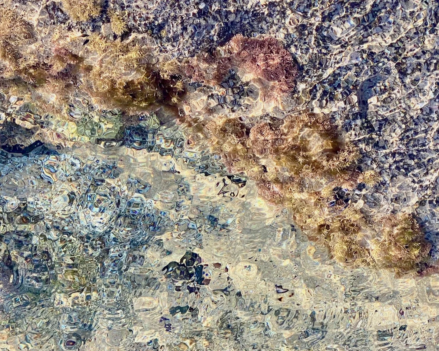 Shimmering Edge