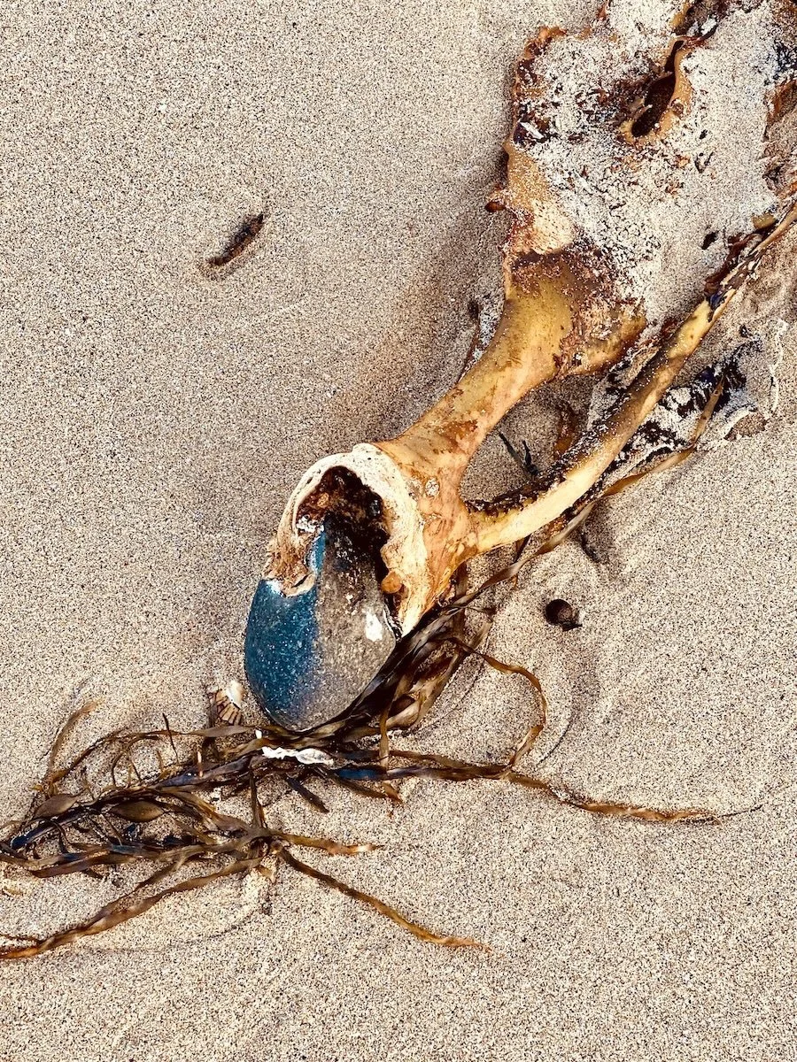 Sea's Keeping