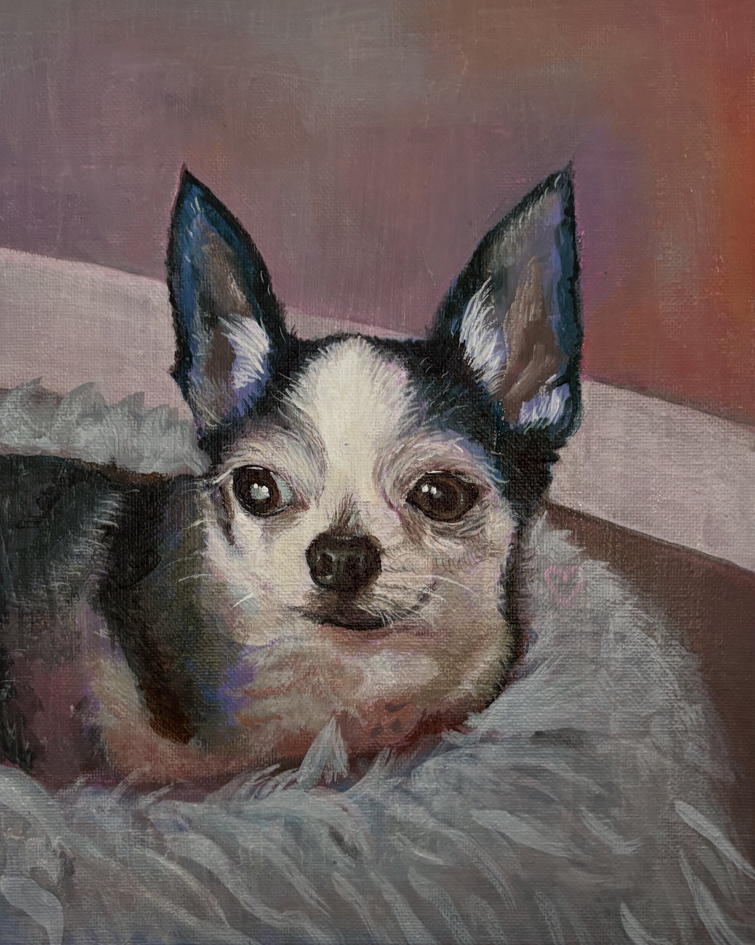 Painting of a small black and white dog, likely a Chihuahua, lying on a soft surface with a pink and purple background.