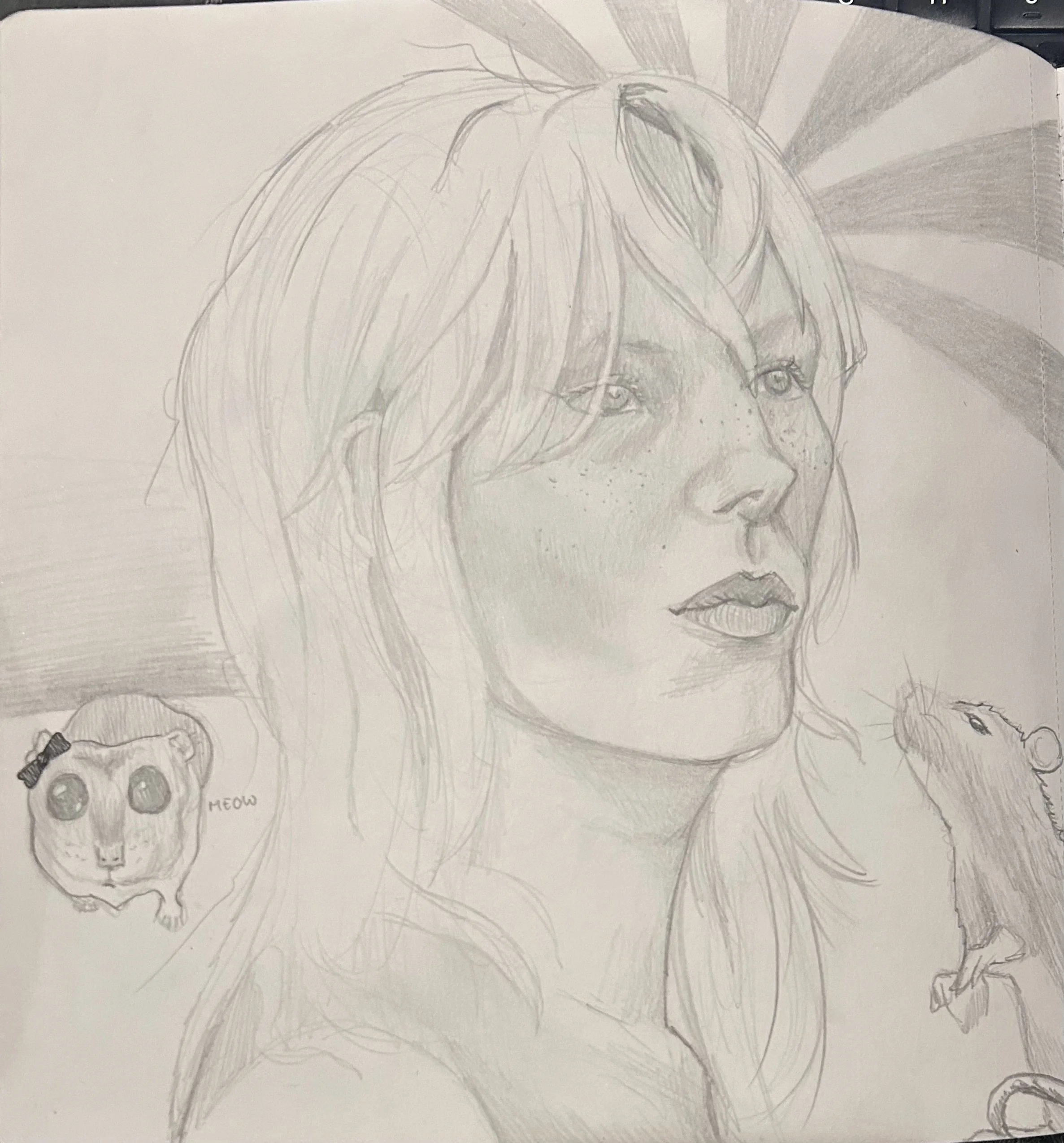A pencil sketch of a woman with long, wavy hair, freckles, and a serious expression, accompanied by a small hamster and a mouse, with a partially shaded background and rays extending from the top right corner.