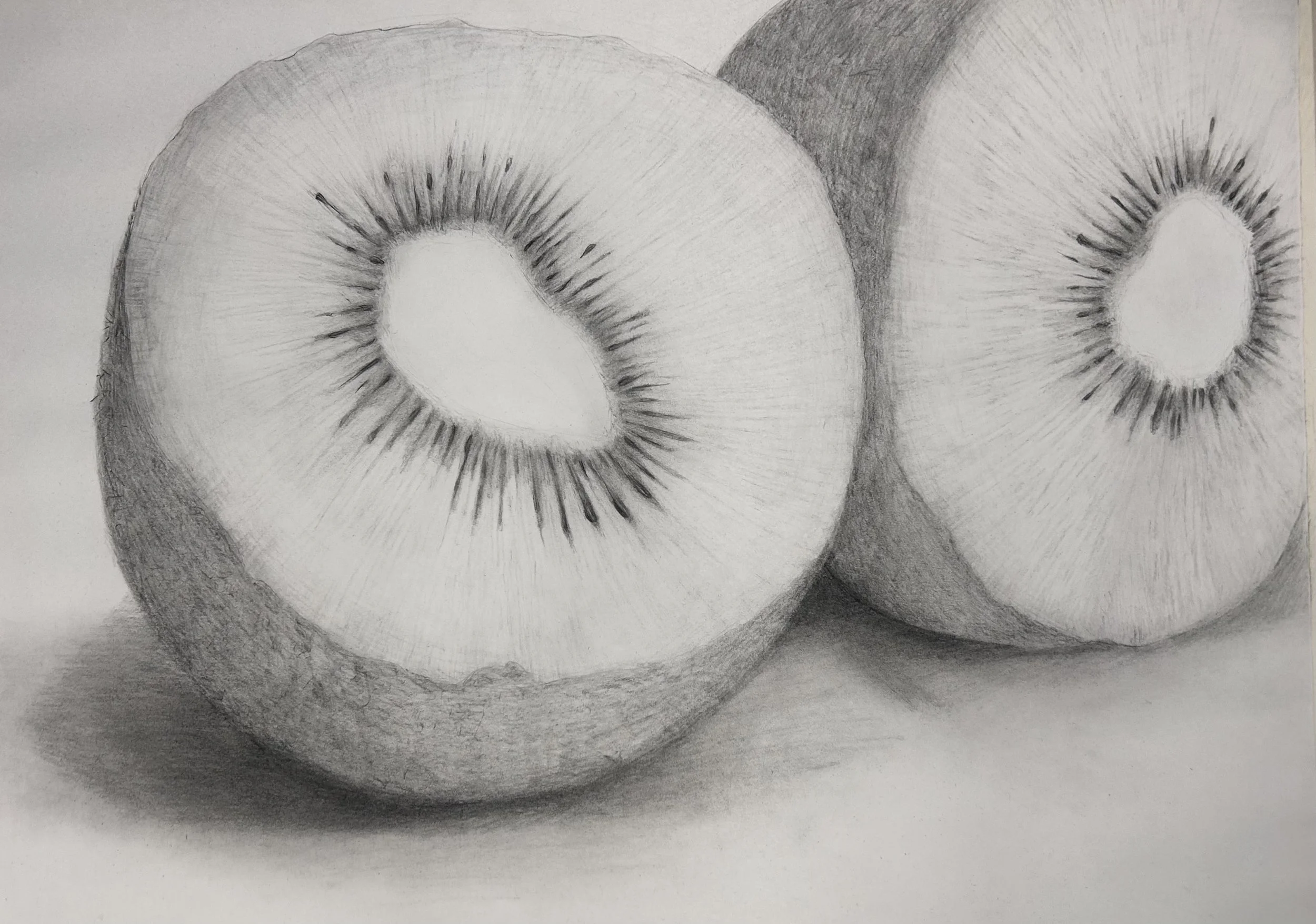 A detailed pencil sketch of two halved kiwis, showing the juicy interior, seeds, and textured skin with shading and shadow effects.