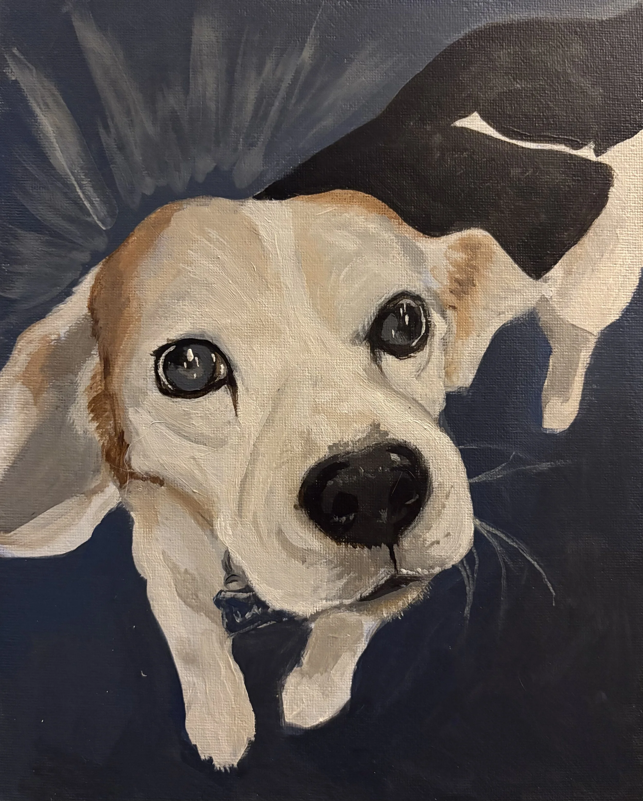 Painting of a cute puppy with a black and white face, looking up with soulful eyes.