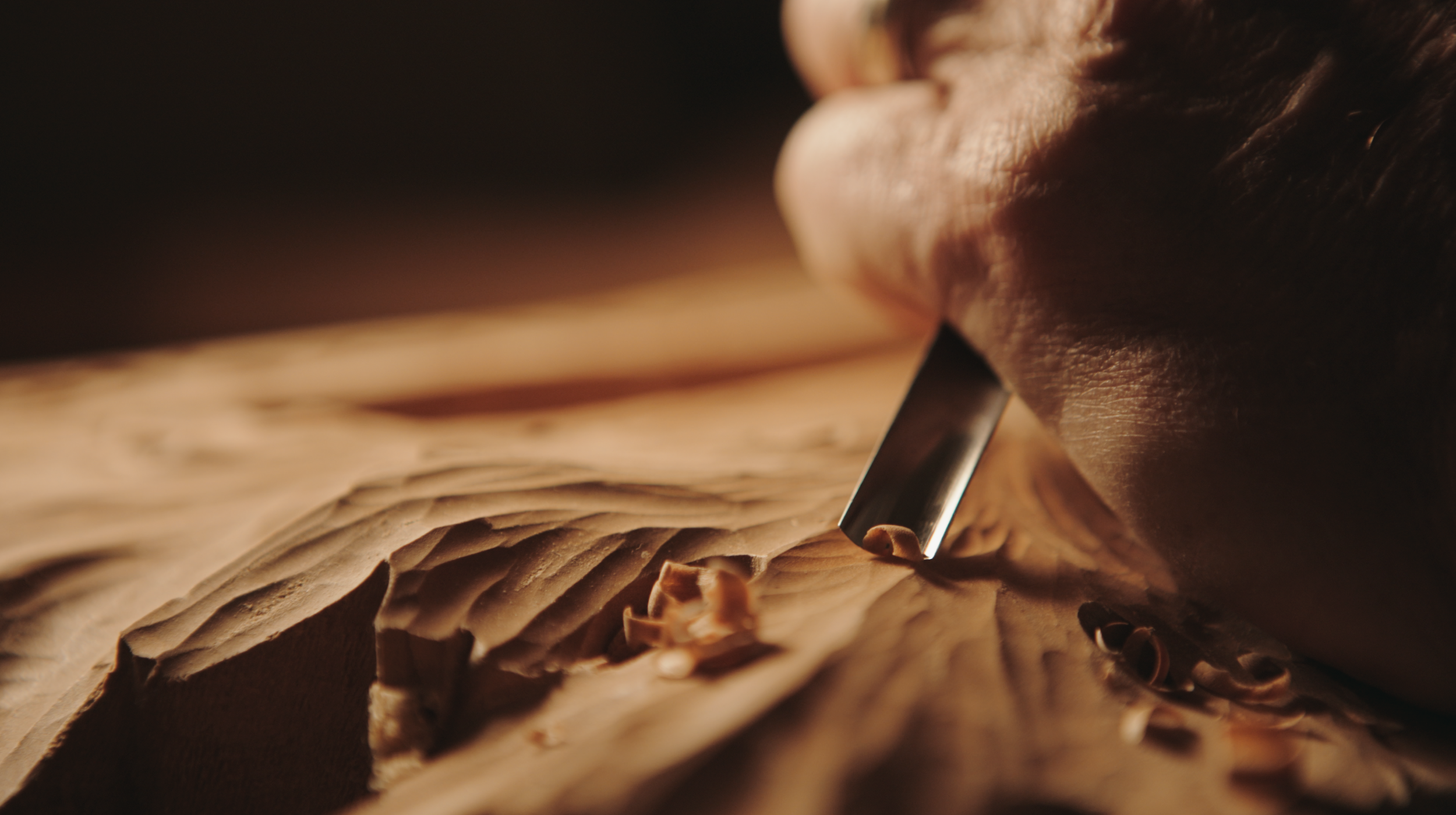 Screenshot 2026-01-28 at 8.00.58 PM.PNG