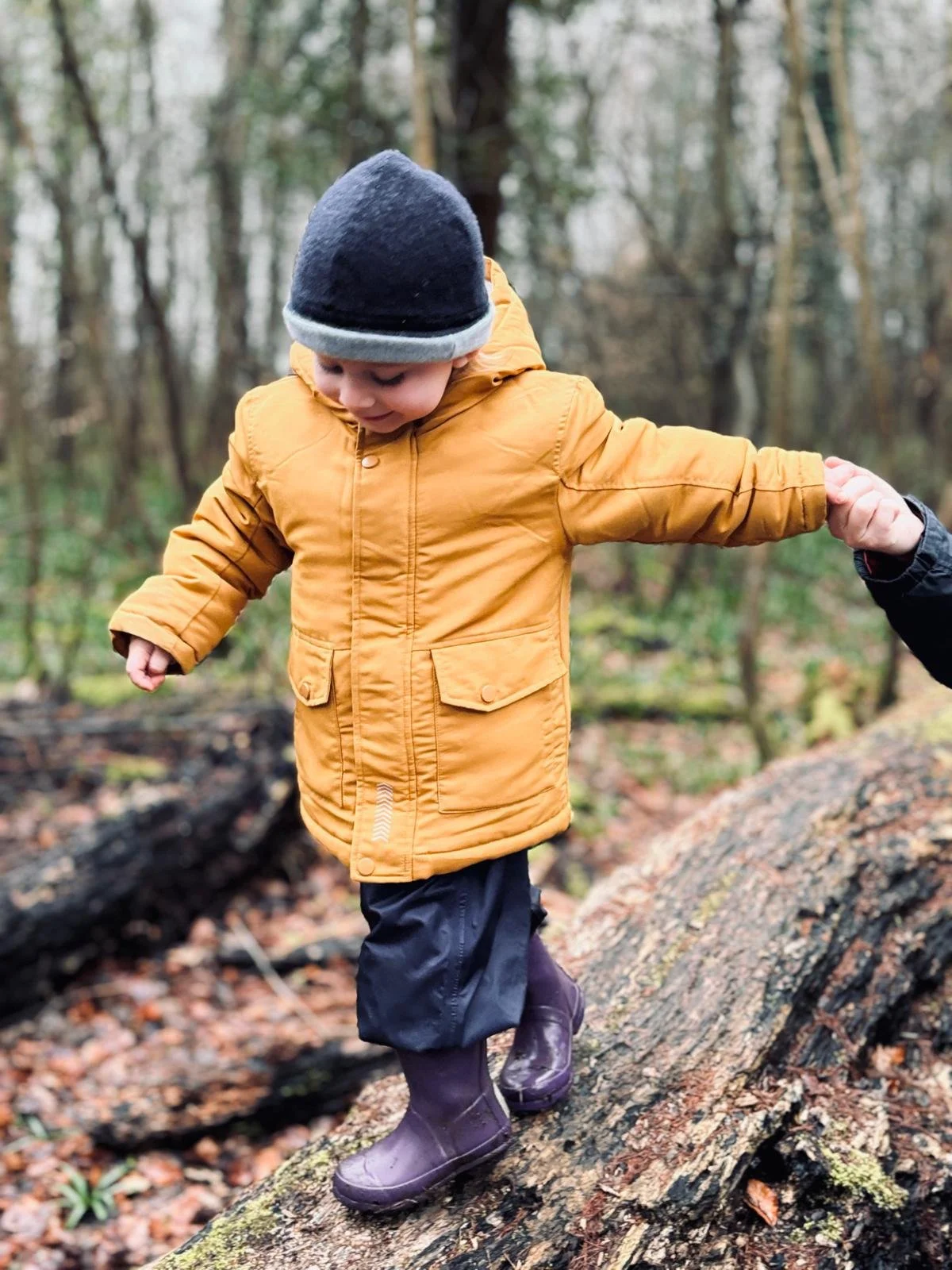 A young child in a yellow jacket, purple boots, and a black and gray hat walks on a fallen tree trunk in a forest during fall.