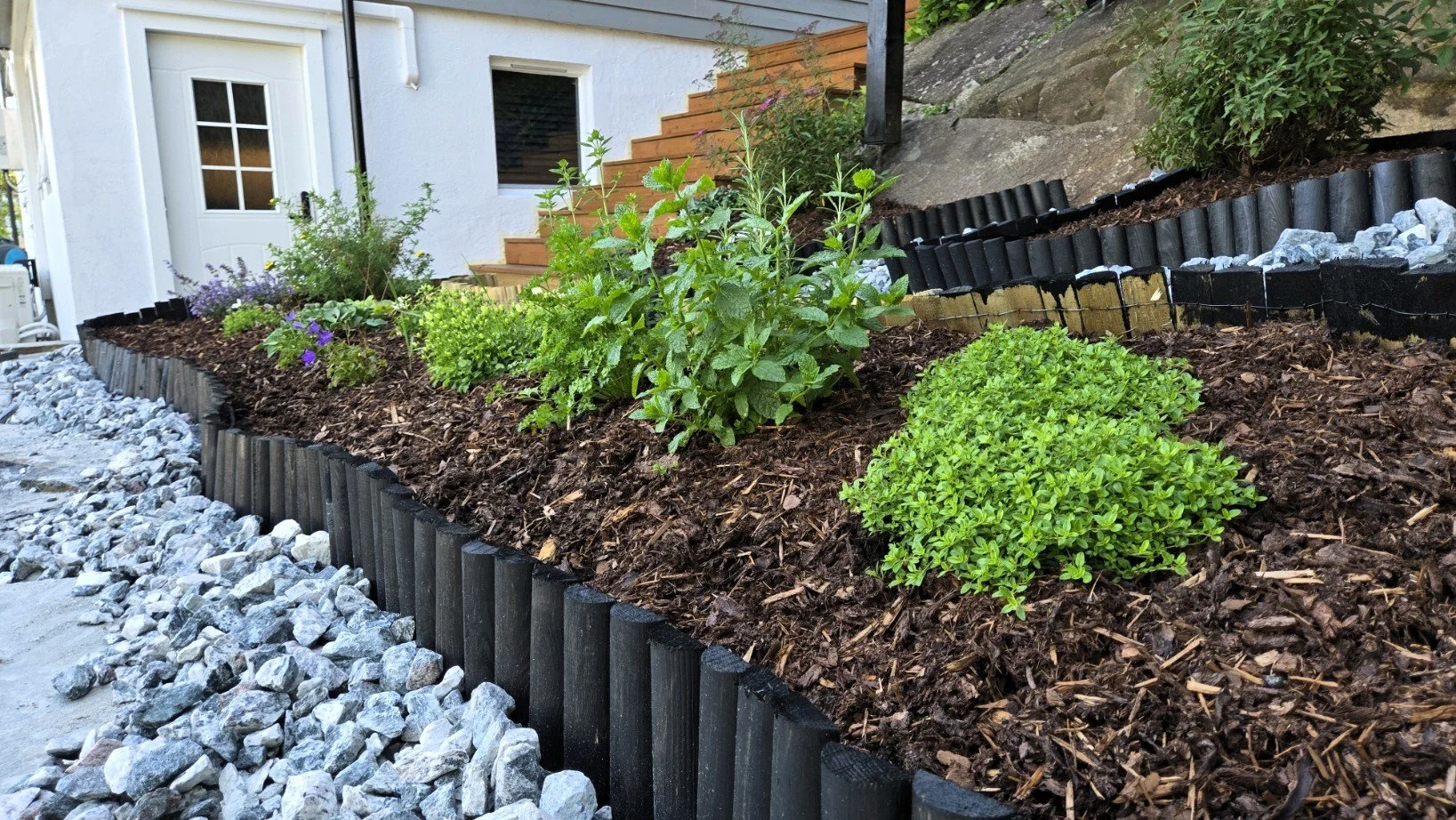 A landscaped garden bed with various green plants and flowers, bordered by black wood or plastic edging, with a layer of mulch covering the soil, and a gravel pathway beside it, in front of a white house with steps leading up to a door.
