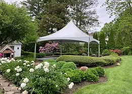 A backyard garden with a white tent, blooming flowers, and lush green plants.