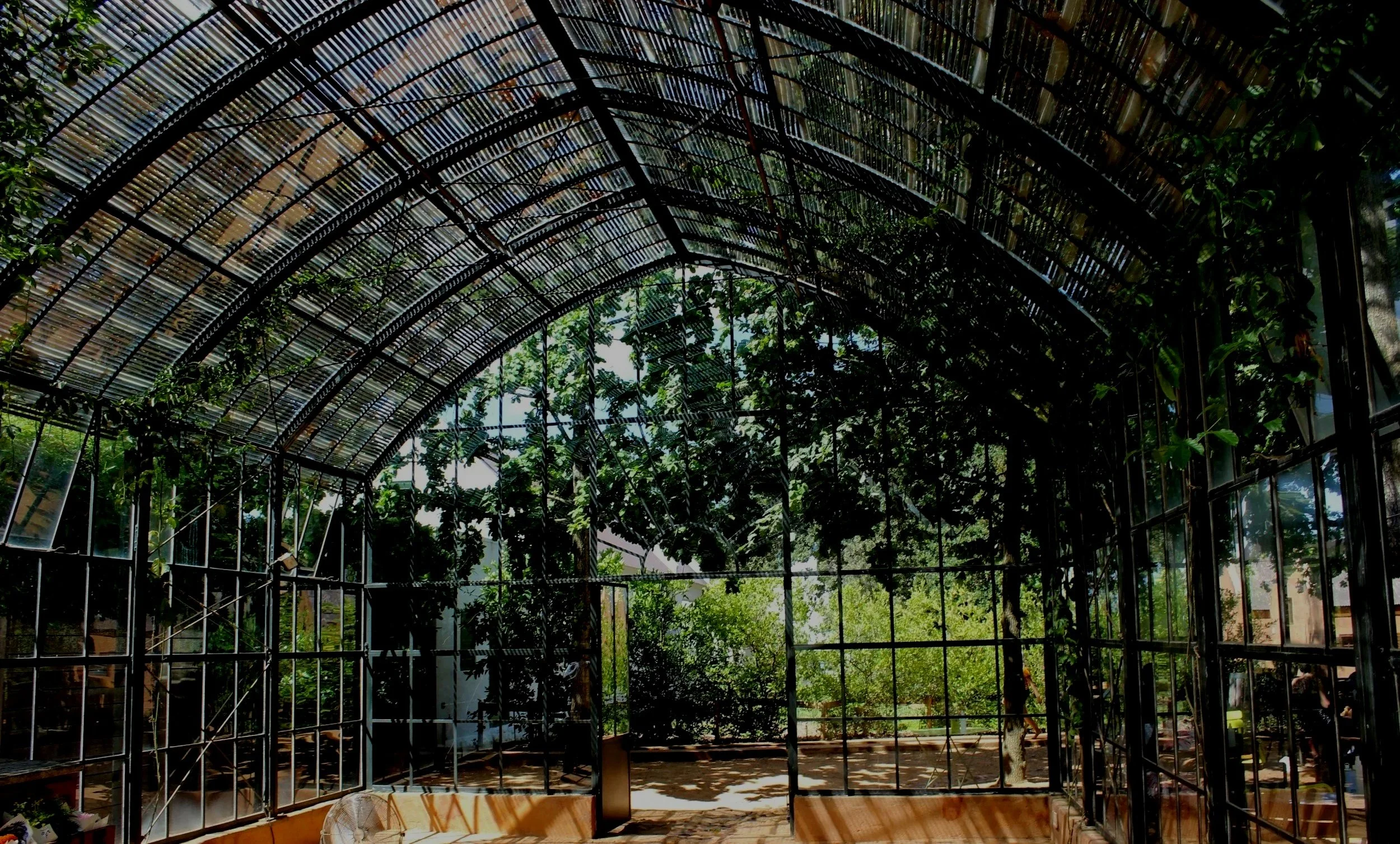Interior of a greenhouse with a curved metal and glass structure, plants growing inside, and sunlight filtering through