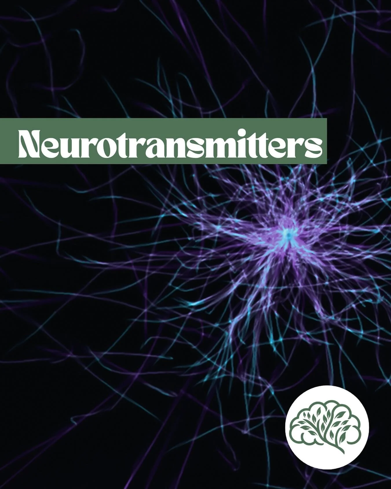 Neurotransmitters are chemicals that relay messages between neurons. They are produced by neurons and help transmit signals across the synapse (a synapse describes the gap between a neuron and either another neuron, a muscle, or a gland).

Neurotrans