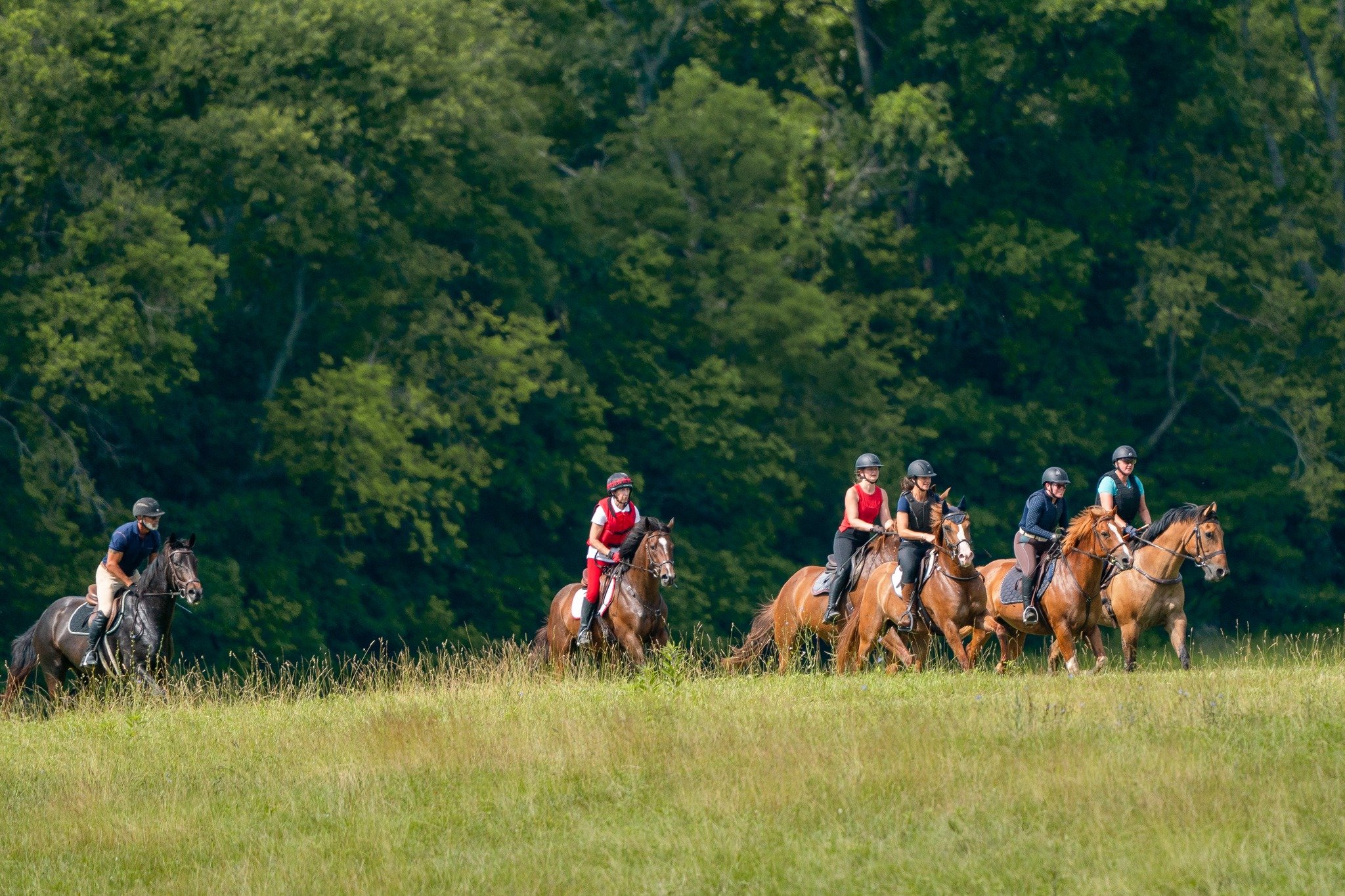 📸 The 2026 Iroquois Hunter Pace gallery is officially live!

It was such a pleasure spending the day capturing the Iroquois Hunter Pace at the beautiful Boone Valley Farm. Thank you for your patience while I sorted through and edited the images.

As