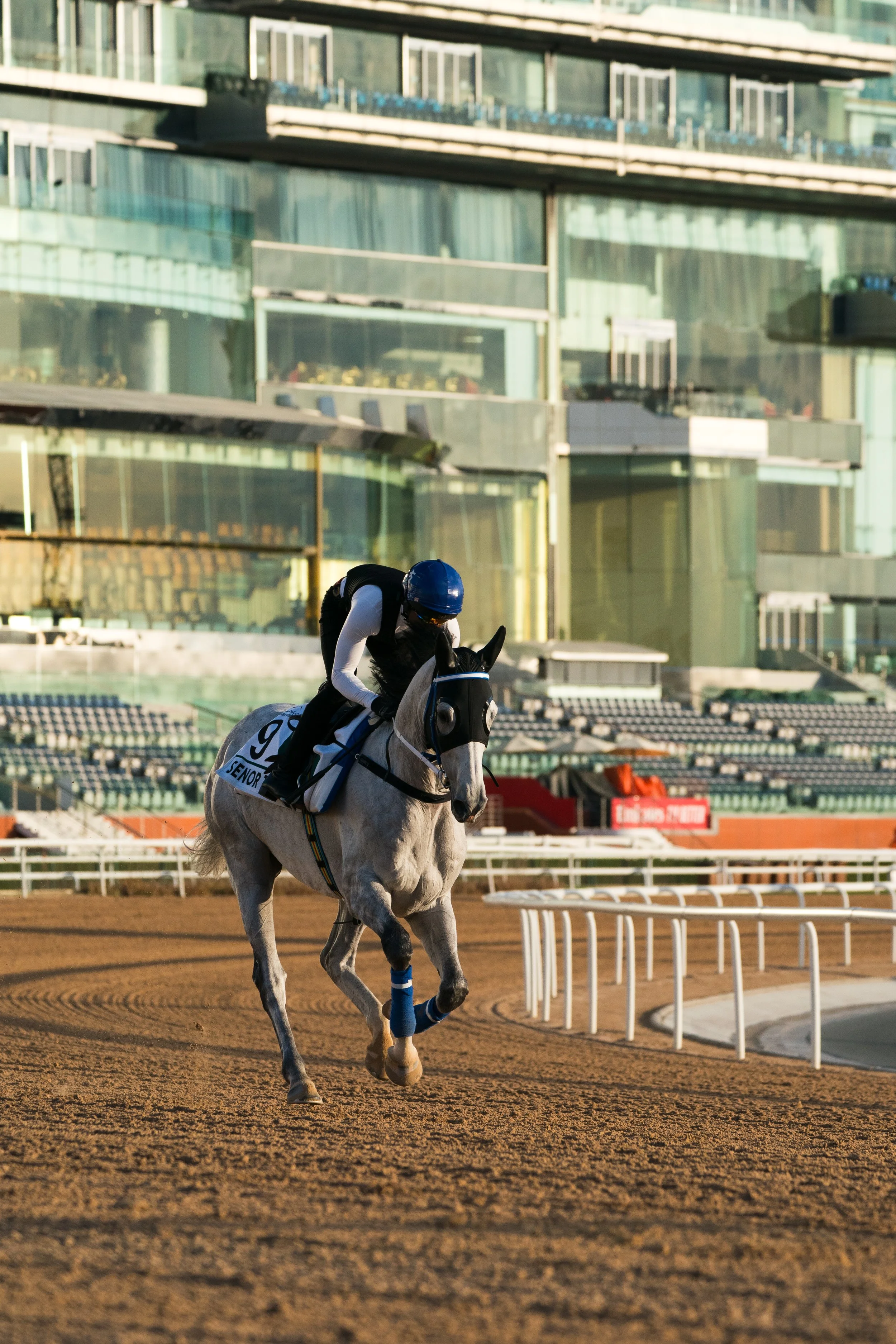 ANC-09 Dubai World Cup, Meydan Racecourse March 2023.jpg