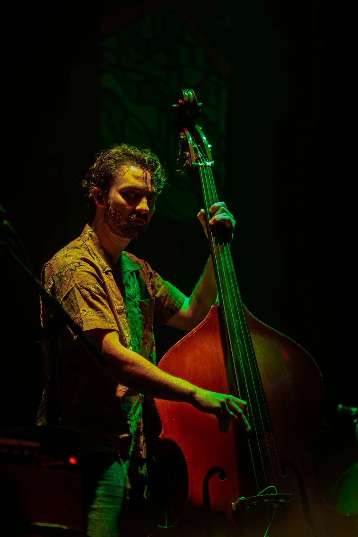 A man playing an upright bass on stage, illuminated by green lighting with a dark background.
