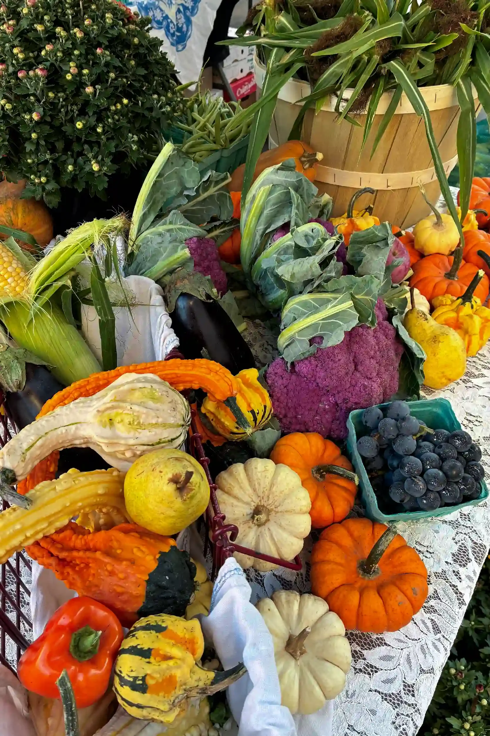 fall-vegetable-arrangement.webp