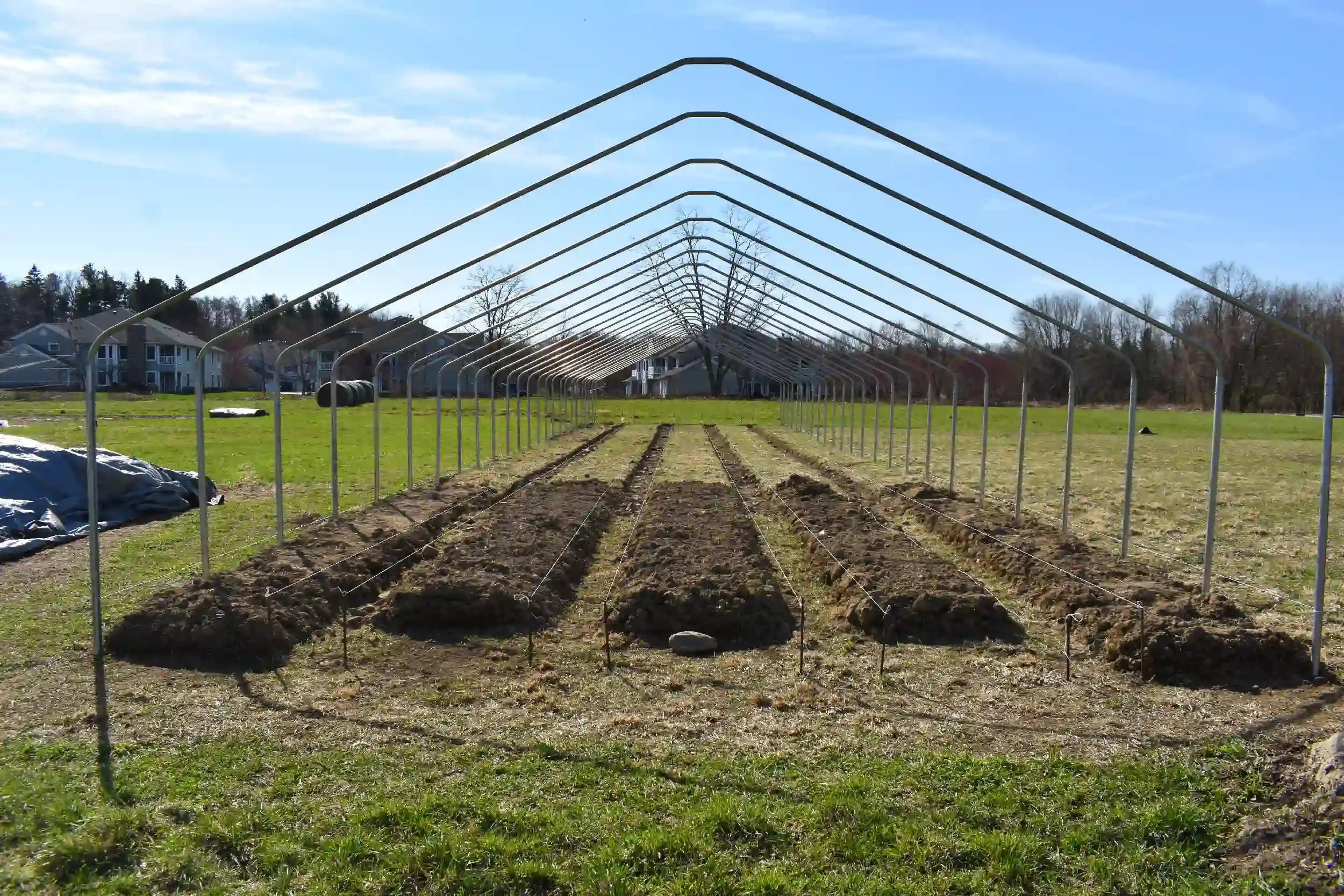 Meet the 2025 JFM Greenhouse Grant Recipients