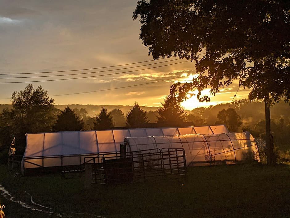 Farm to Table Dinner