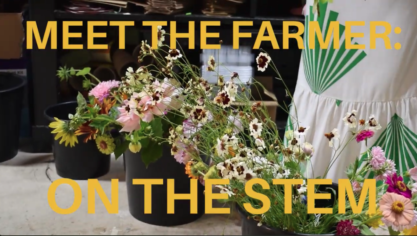 Meet the Farmer: On the Stem