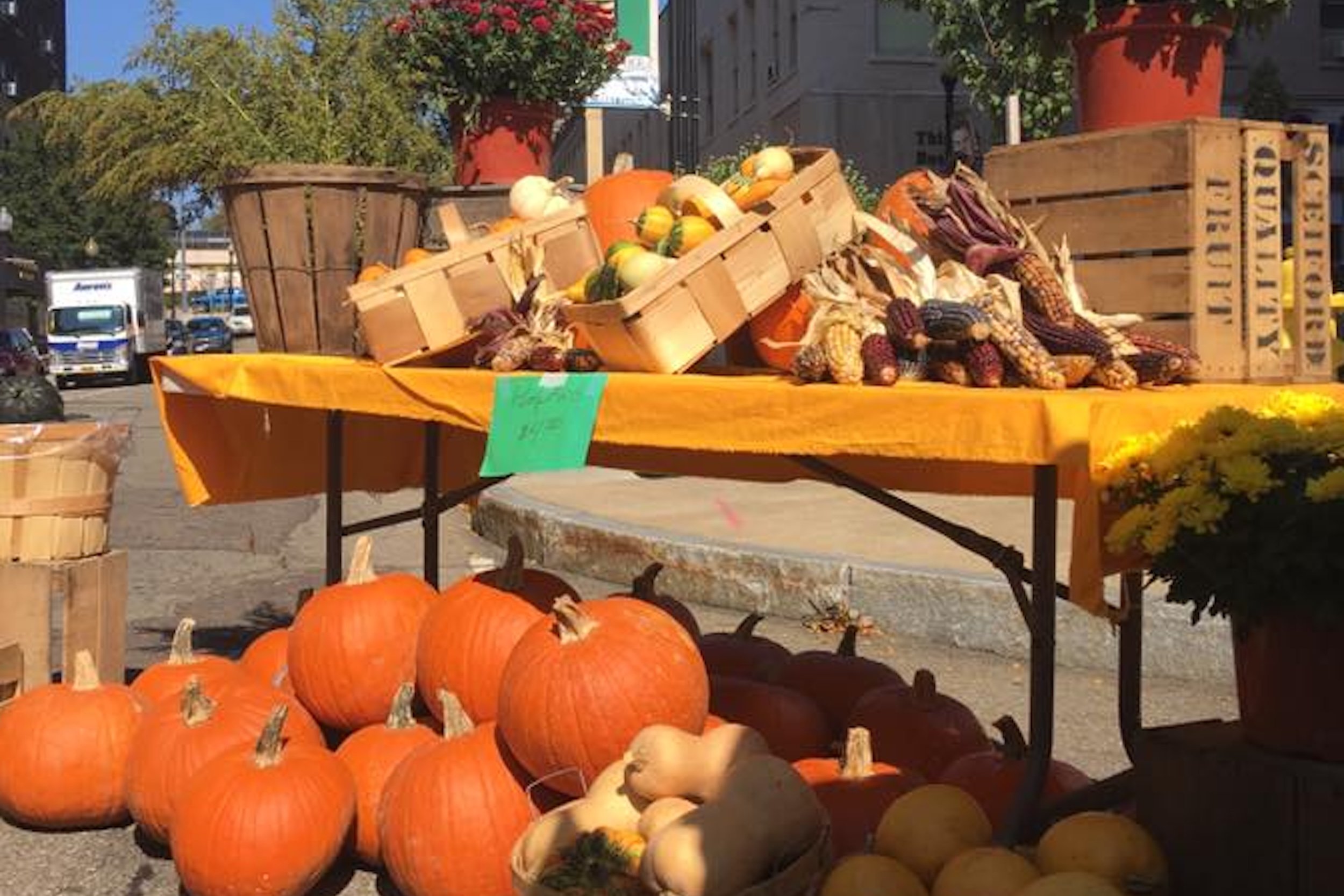 Halloween at Jamestown Farmers Market