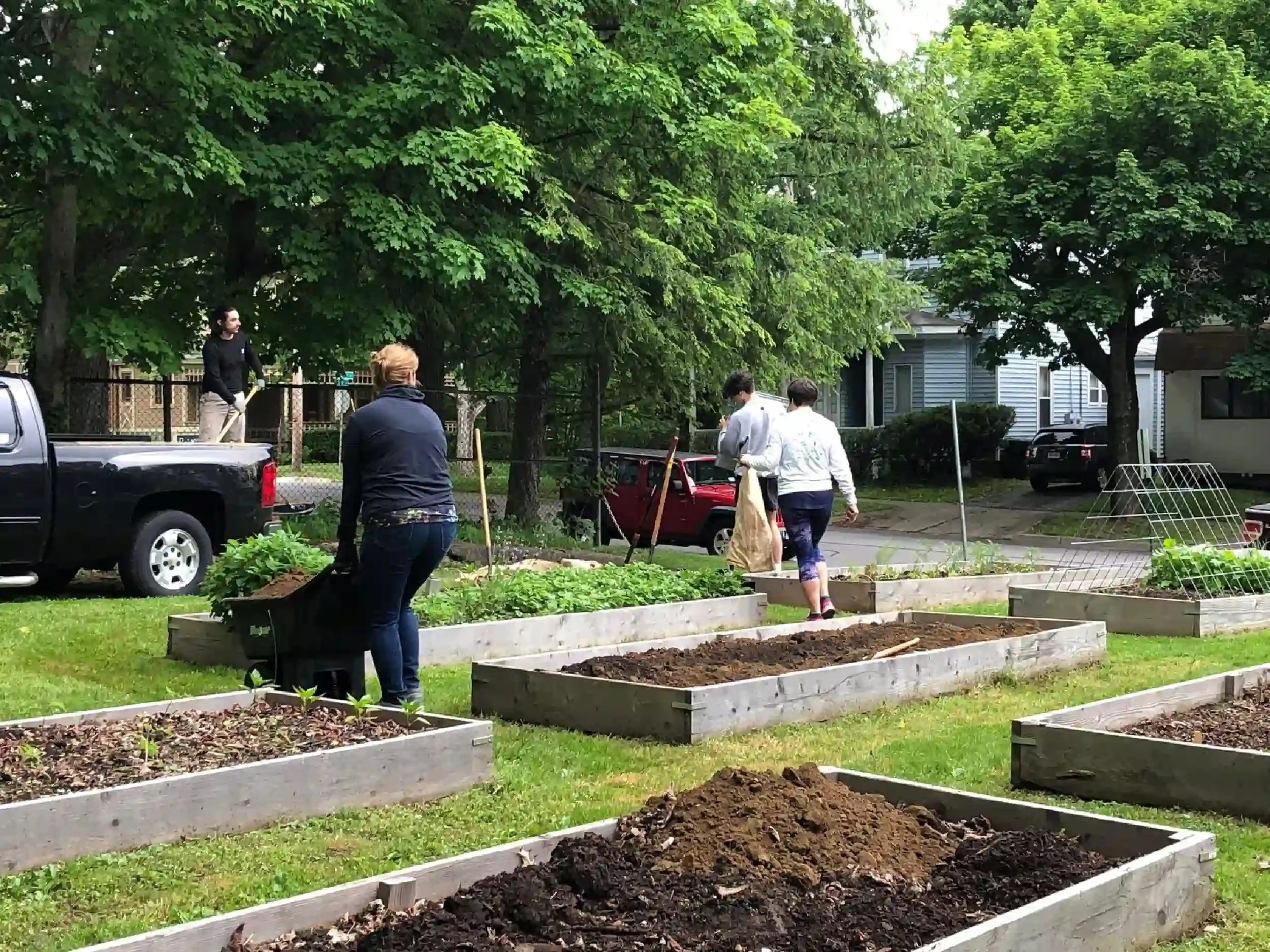 People working in a community garden, planting and tending to raised garden beds with soil, surrounded by trees and residential houses.