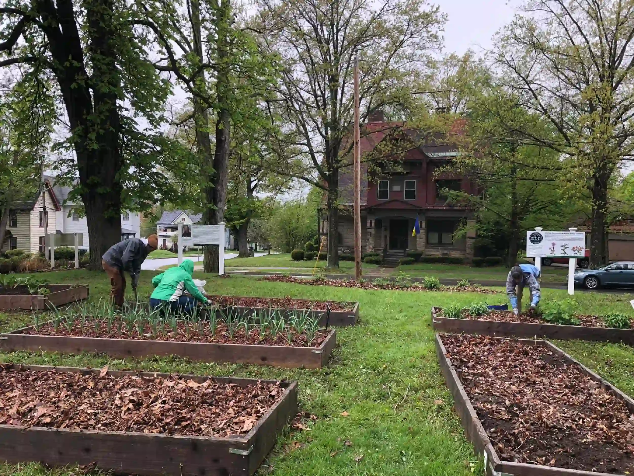 Three people working in a garden with raised beds covered with fallen leaves, in front of a house with trees and a utility pole.