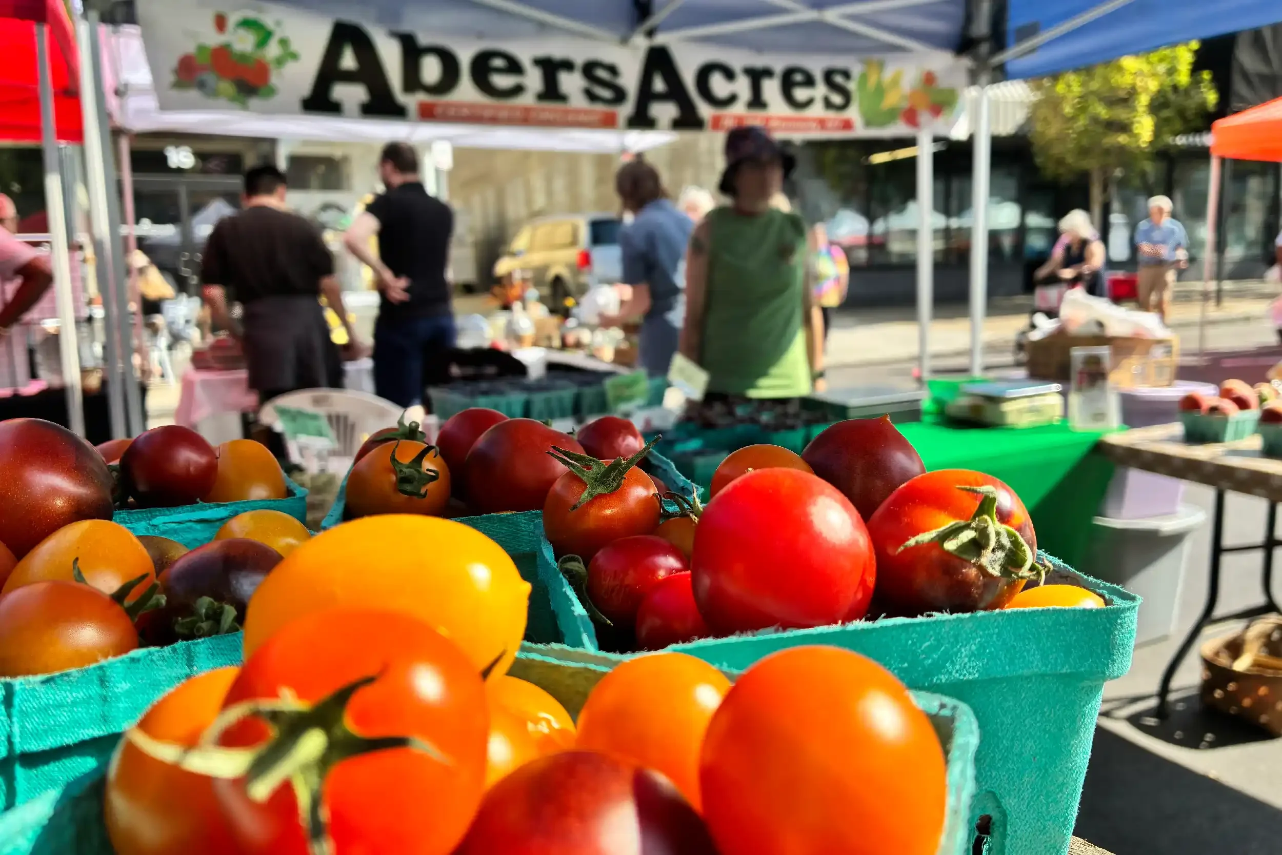 Fresh tomatoes displayed at an outdoor farmers market stall with people shopping in the background.