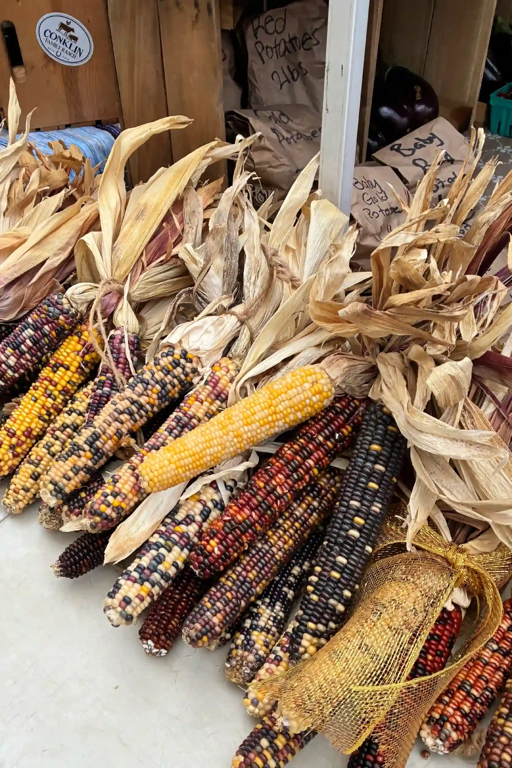 Colorful ears of multicolored corn with their dried husks still attached, displayed at a market stand with paper bags and a wooden backdrop.