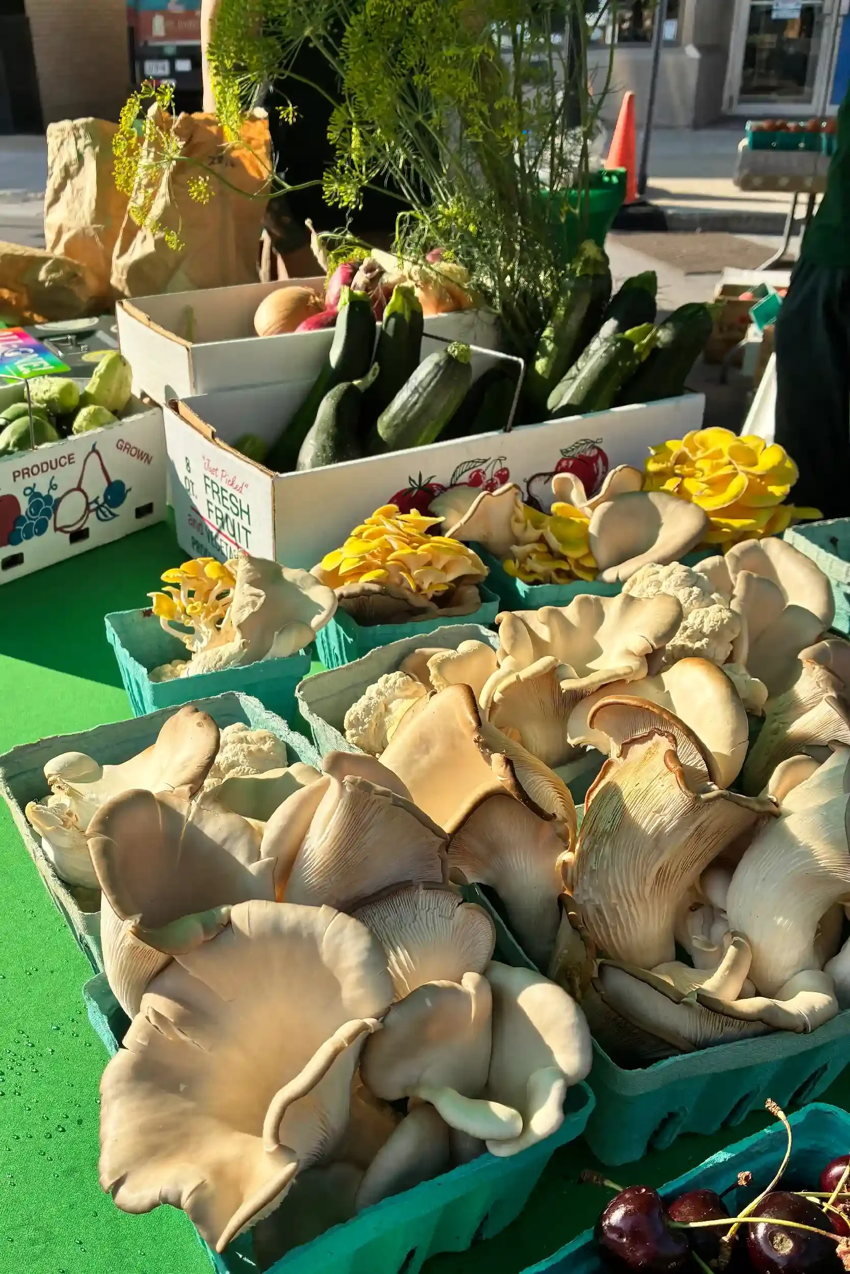 Fresh mushrooms and vegetables arranged in white containers at an outdoor market stall, with sunlight illuminating the produce.
