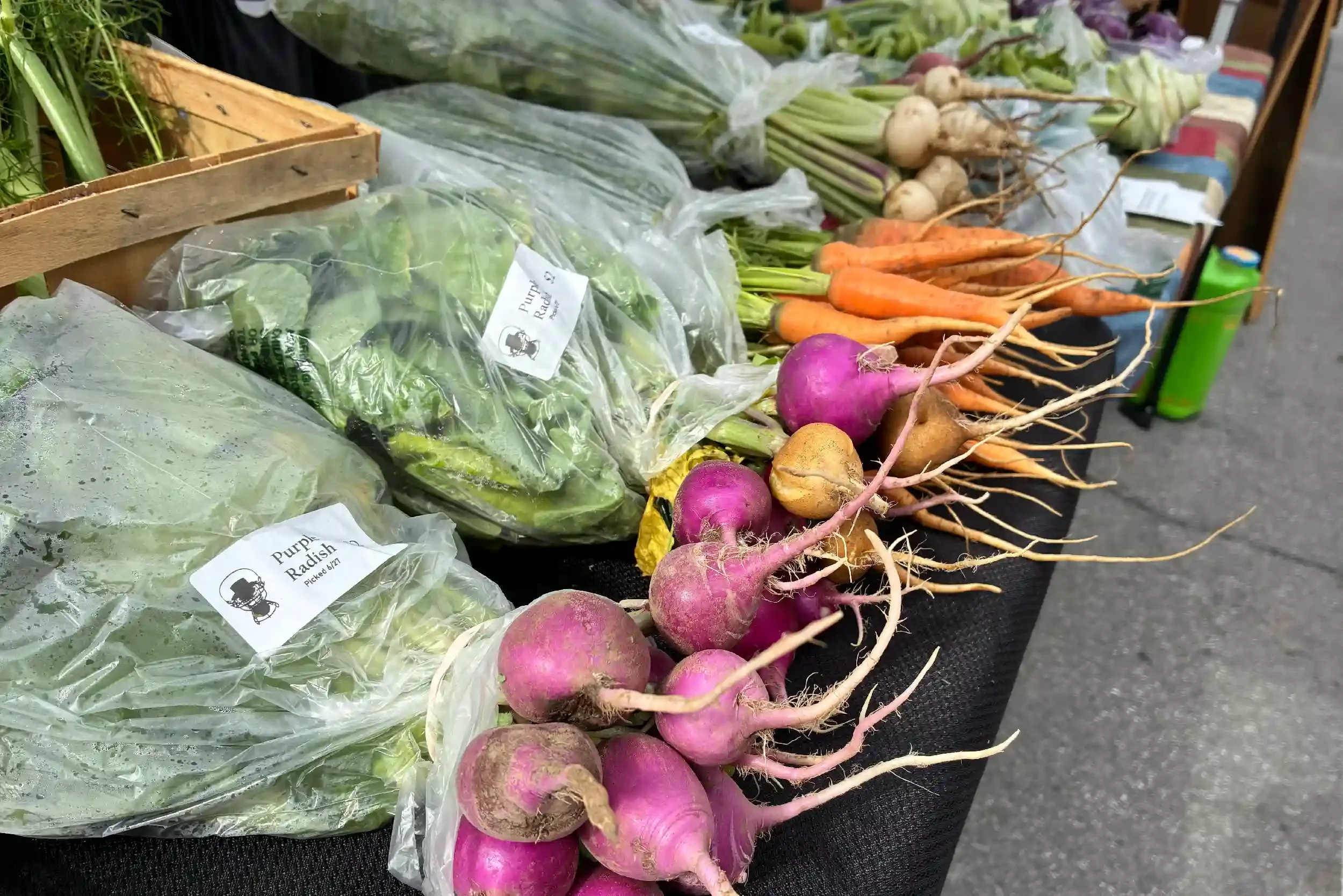Fresh vegetables including radishes, carrots, turnips, and greens displayed on a table at a farmer's market.