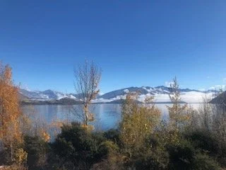 Scenic landscape of a lake surrounded by trees with mountains in the background under a clear blue sky.