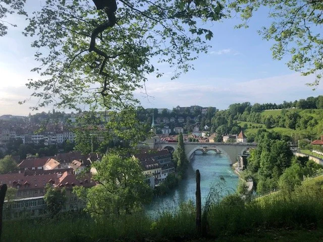 Scenic view of a river with a bridge, surrounded by green trees and buildings on a hillside under a blue sky