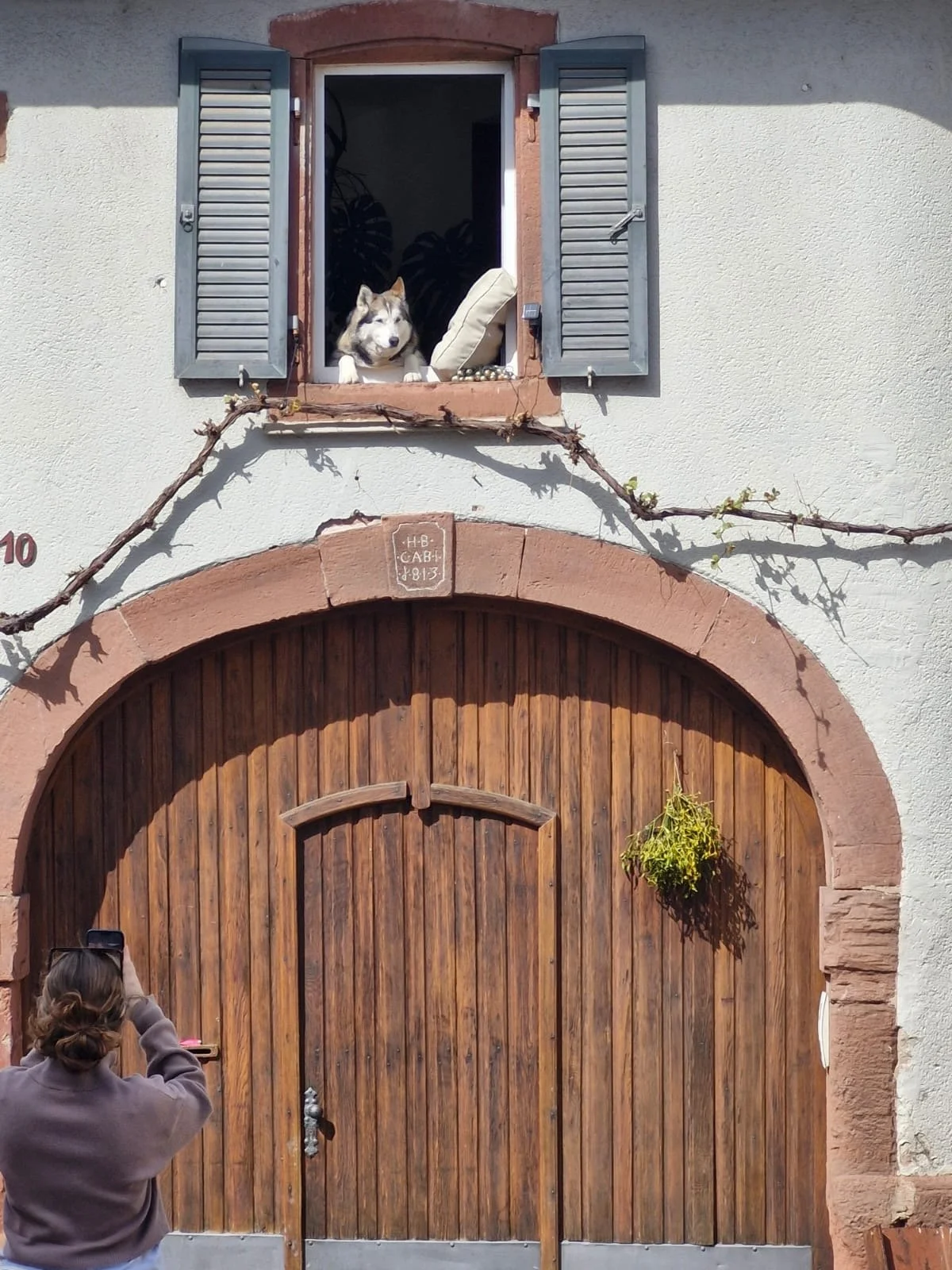 A dog looking out of an open window with gray shutters, with a woman taking a photo below.
