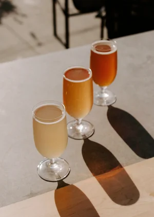 Bevi Bene Brewing photo