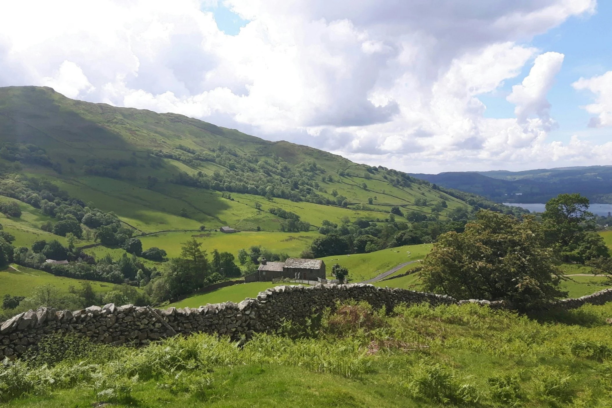 Green rolling hills with scattered trees, stone walls, and small houses under a partly cloudy sky.