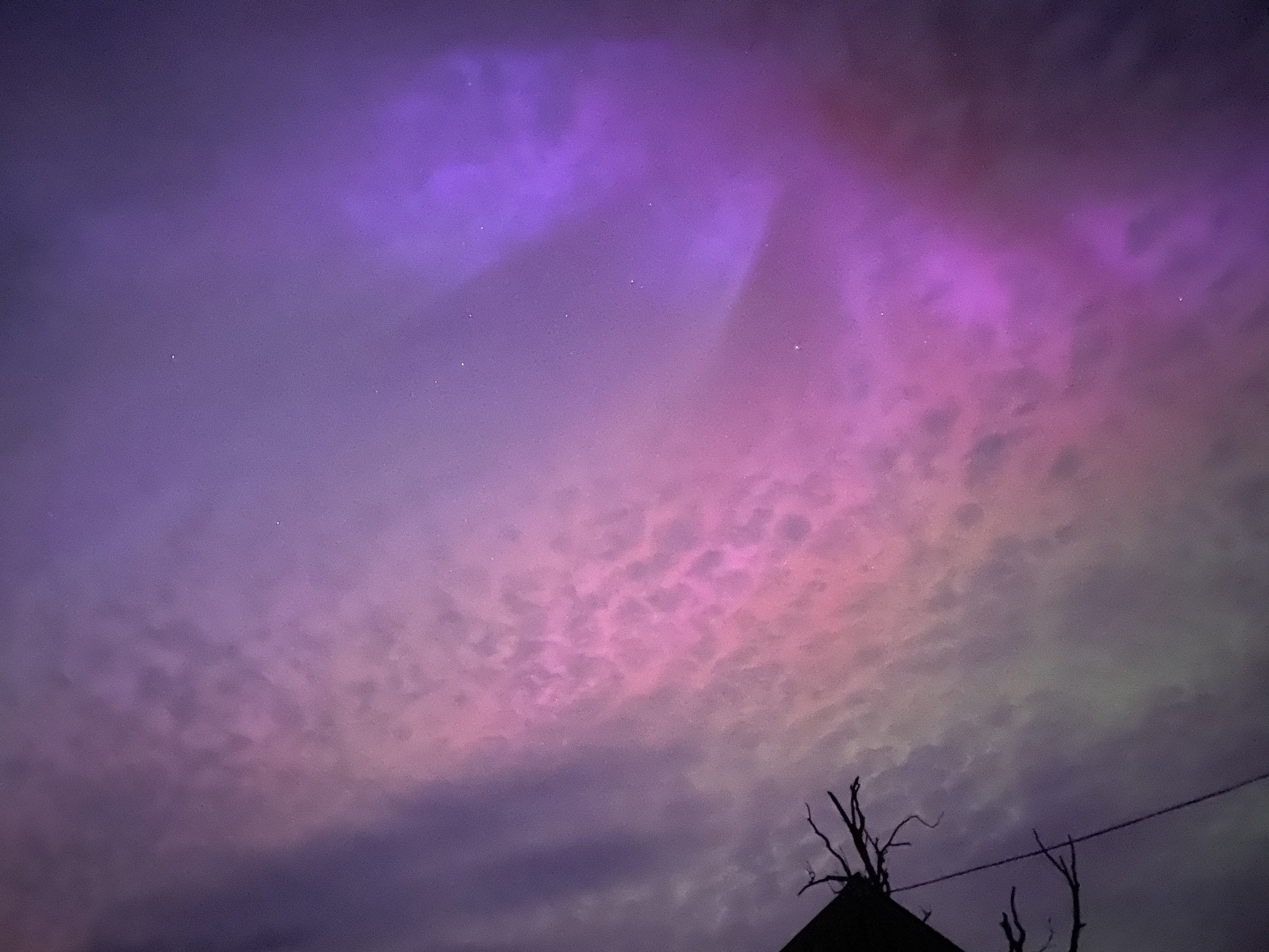 Night sky with northern lights and scattered stars, silhouette of a leafless tree in the lower right corner.