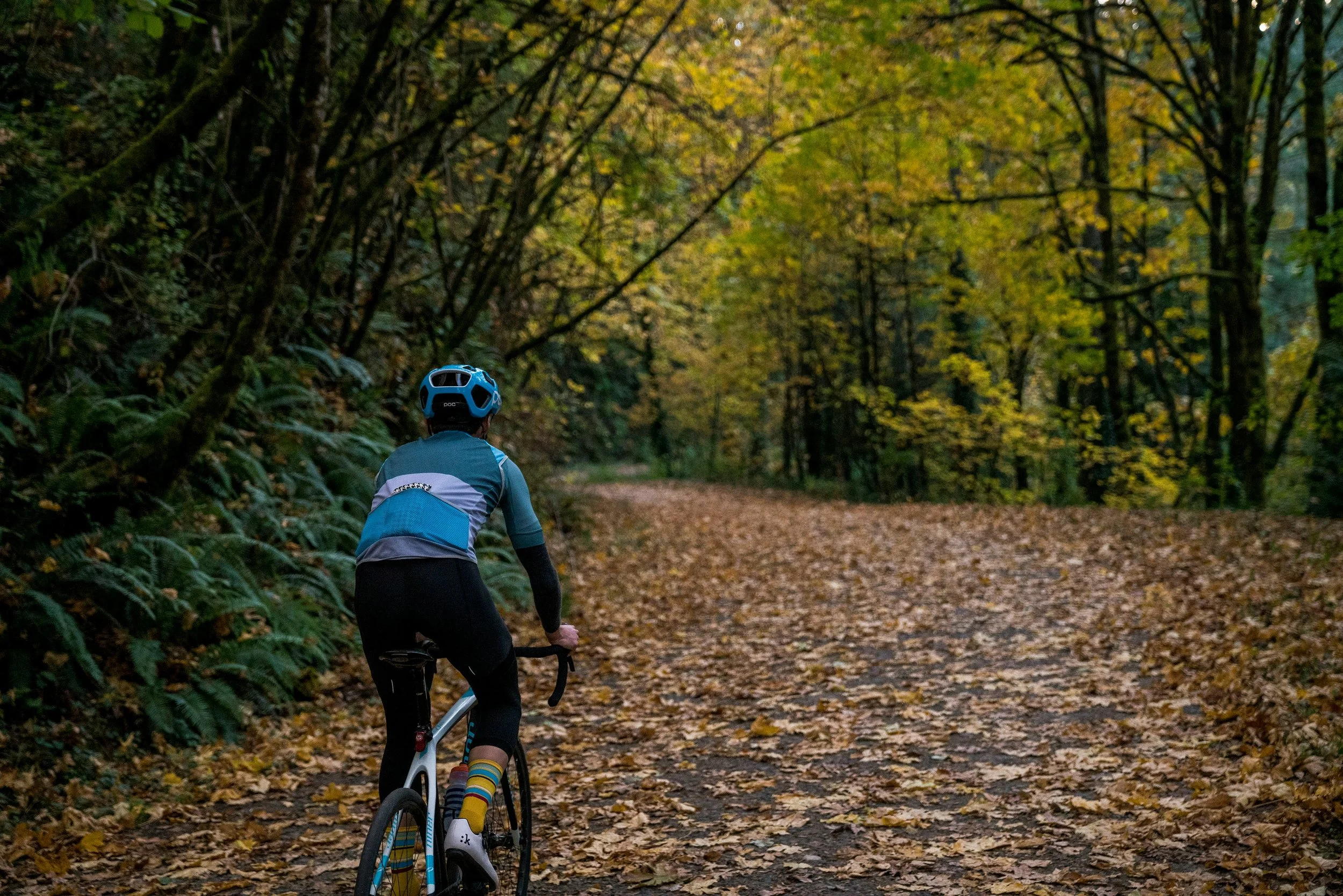 A person riding a bicycle in a forest with autumn leaves on the ground and trees with yellow and green leaves.