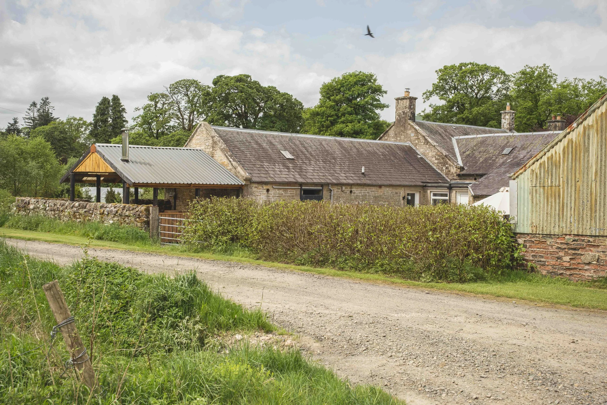 A rural scene with stone houses, a gravel path, green bushes, trees, and a cloudy sky. A bird is flying overhead.