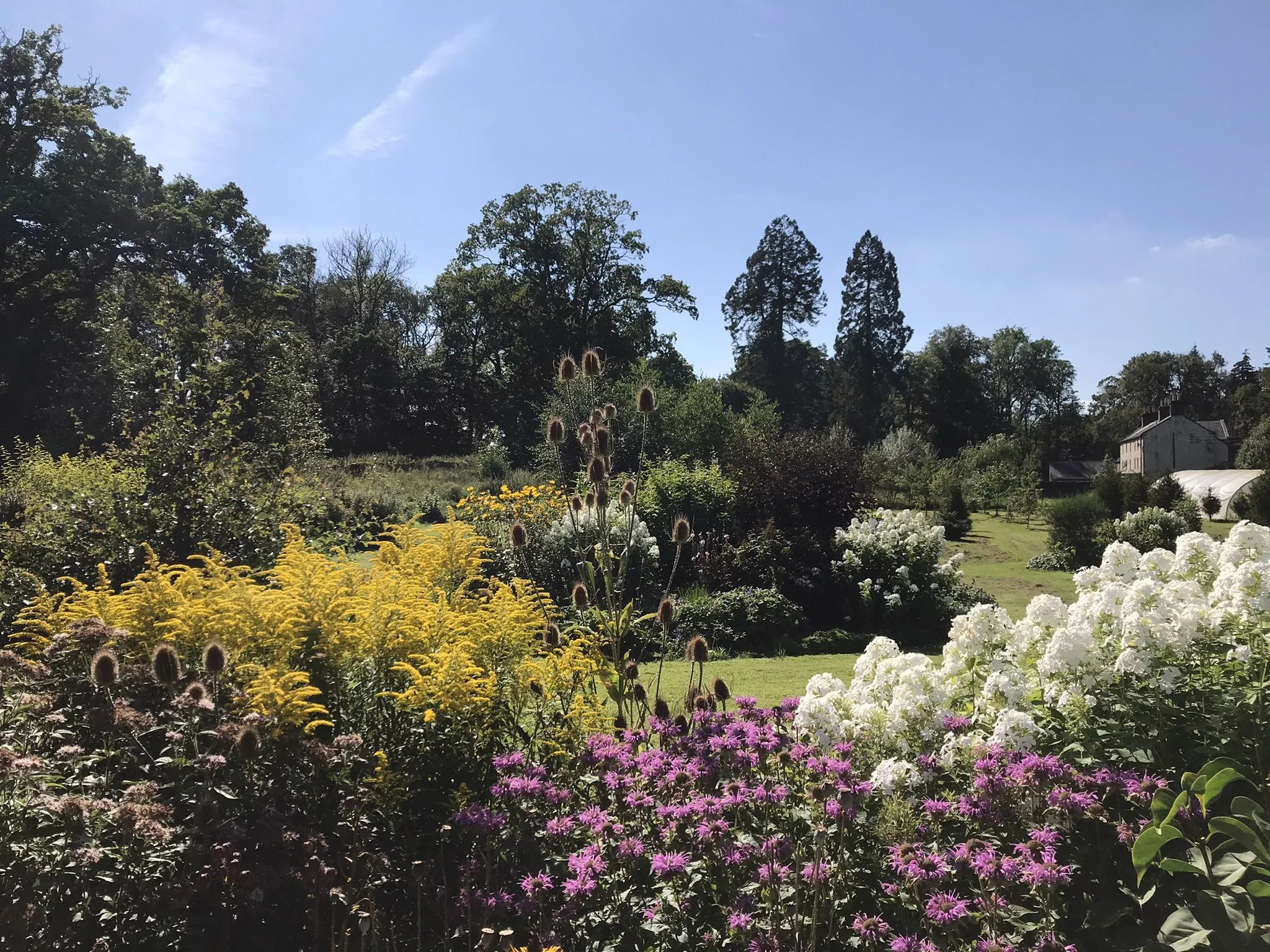 A garden at Larriston Farm with colourful flowers, trees, and a house in the background under a blue sky.