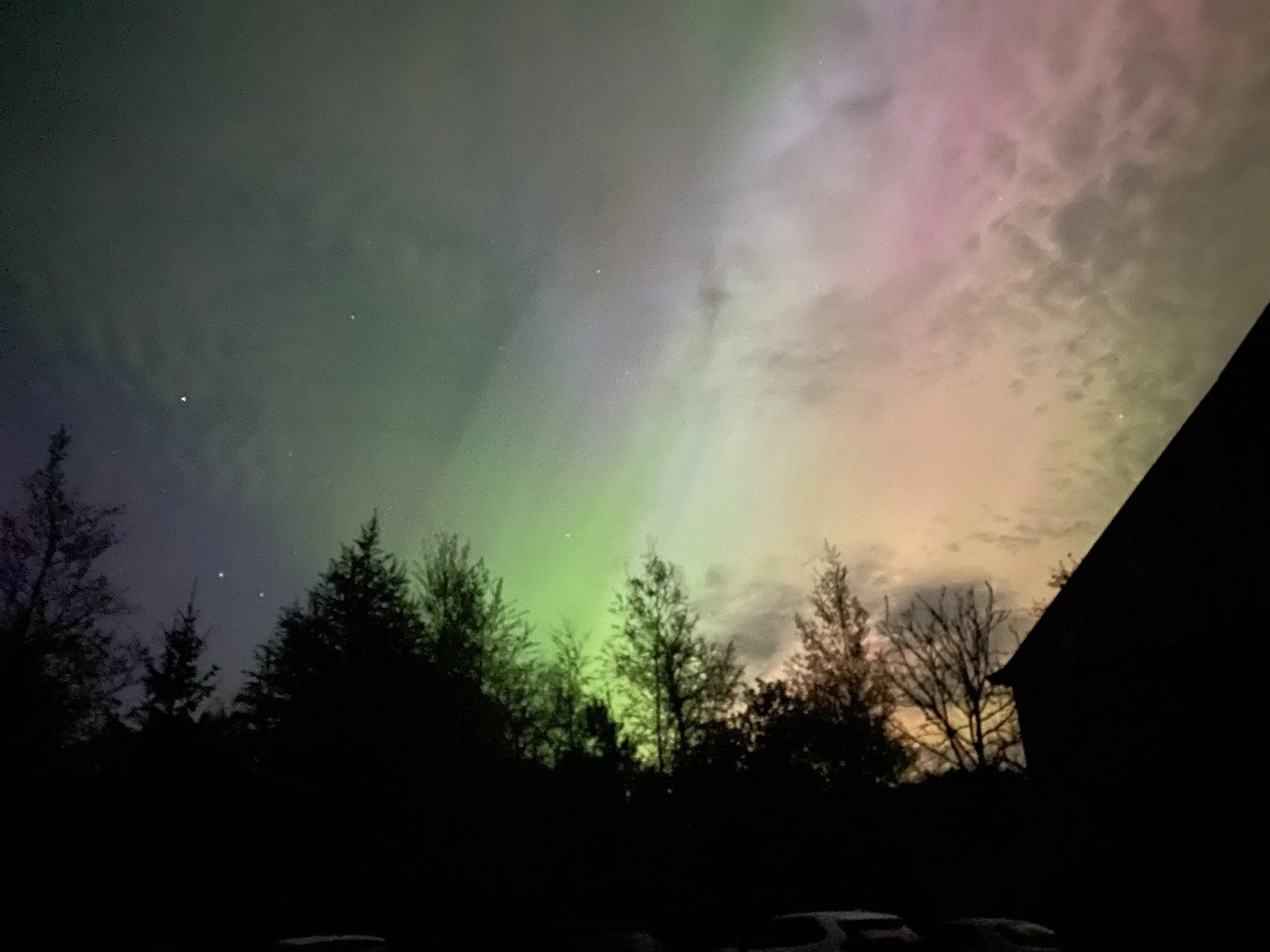 Night sky illuminated by colorful aurora borealis with green, pink, and purple hues, silhouettes of trees at the bottom.