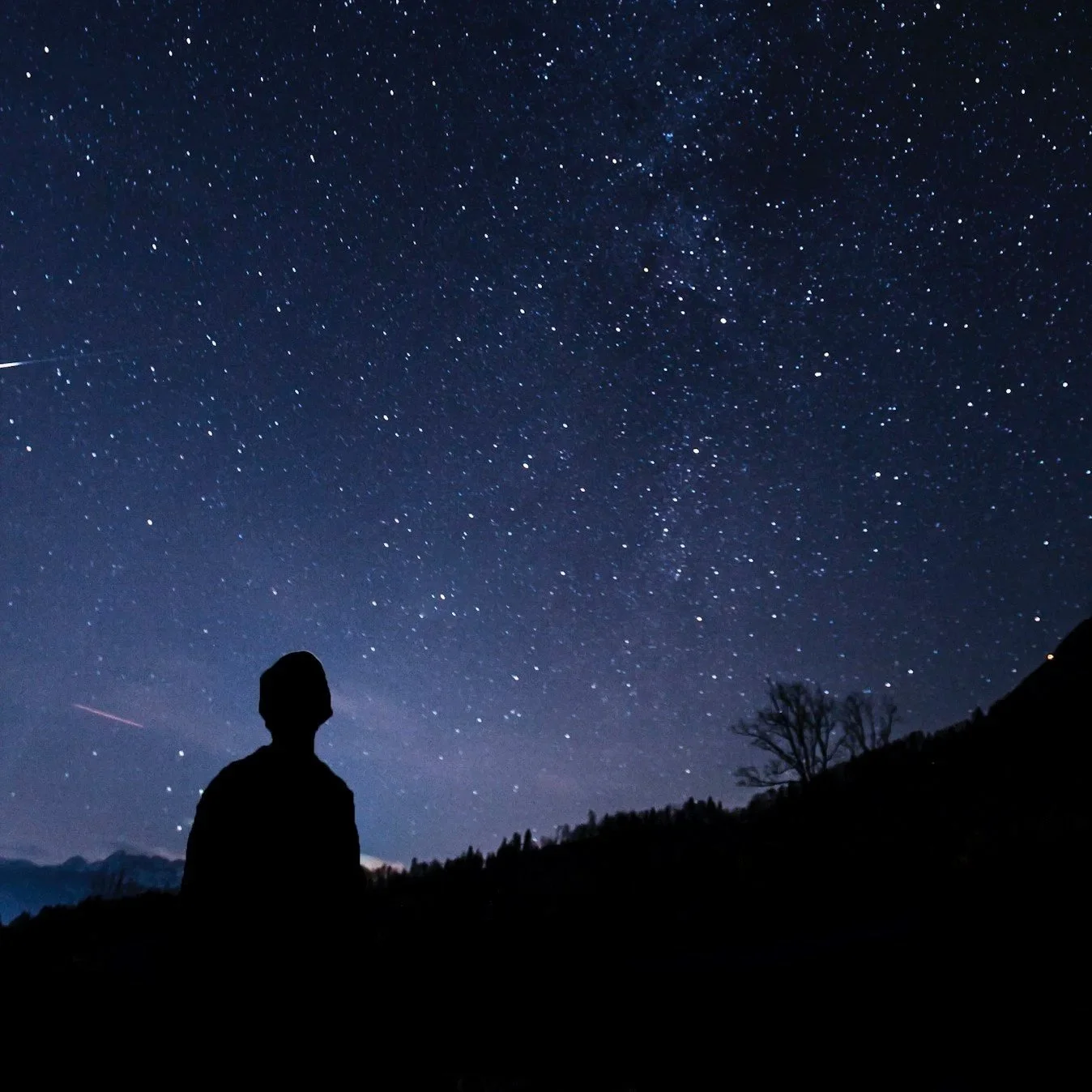 Silhouette of a person looking at a starry night sky with mountains and a tree in the background.