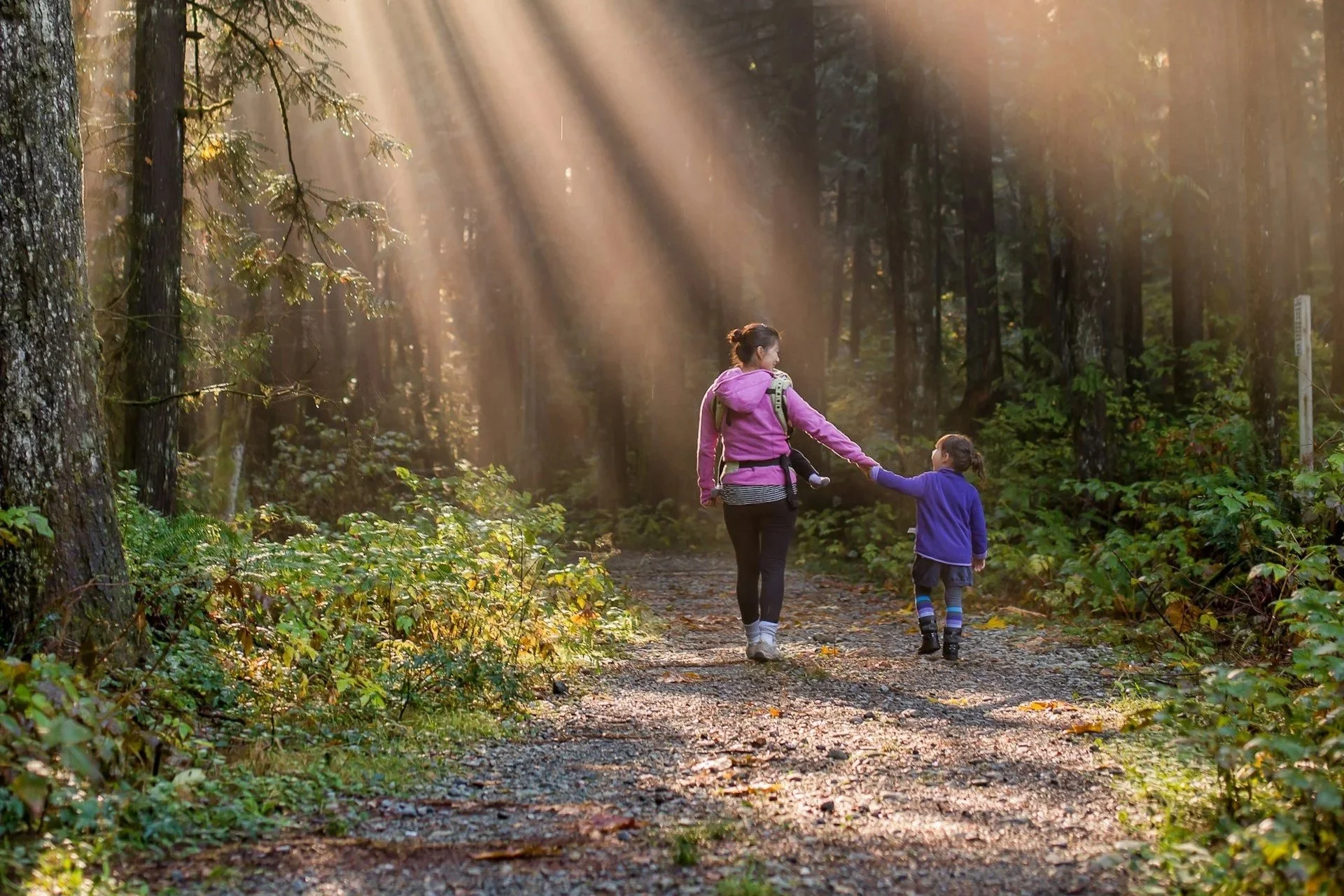 A woman and a young girl walking hand-in-hand on a forest trail during sunlight filtering through tall trees.