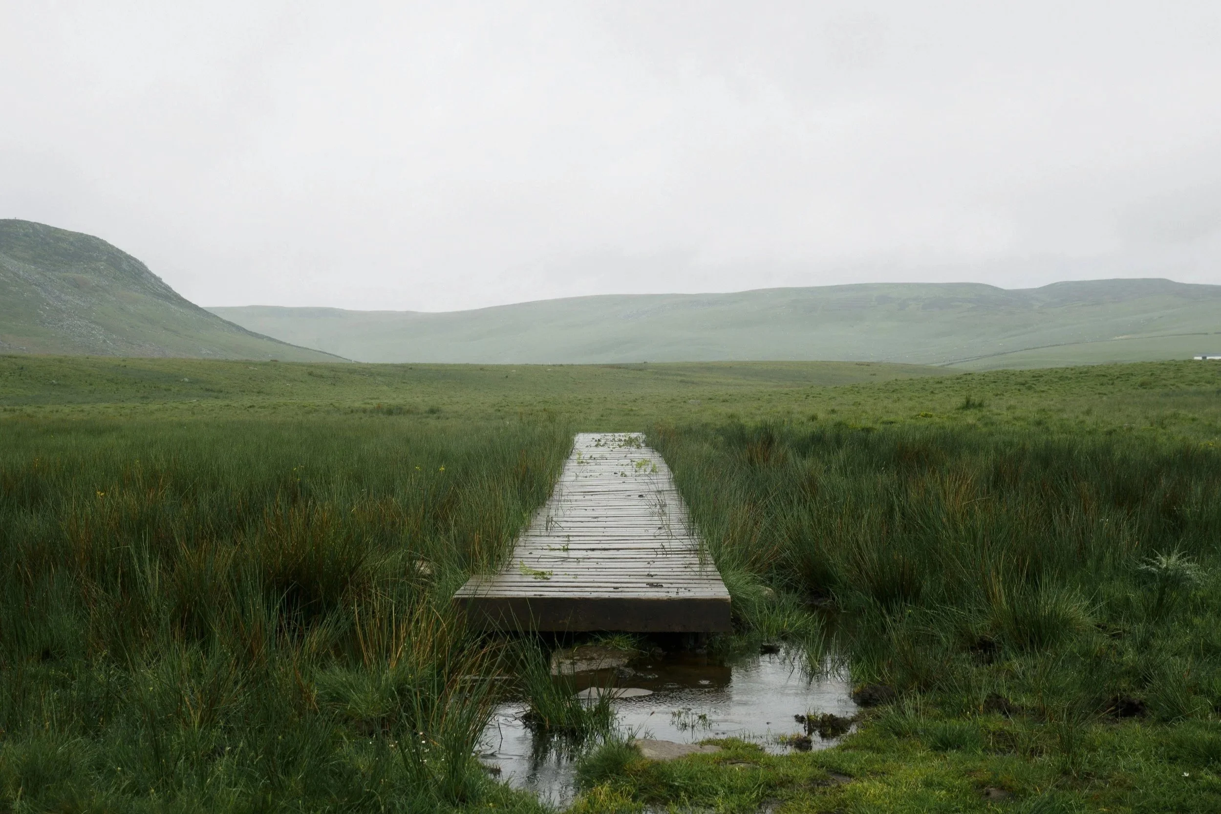A wooden footbridge crossing over a small stream in a grassy field with rolling hills in the distance, under an overcast sky.