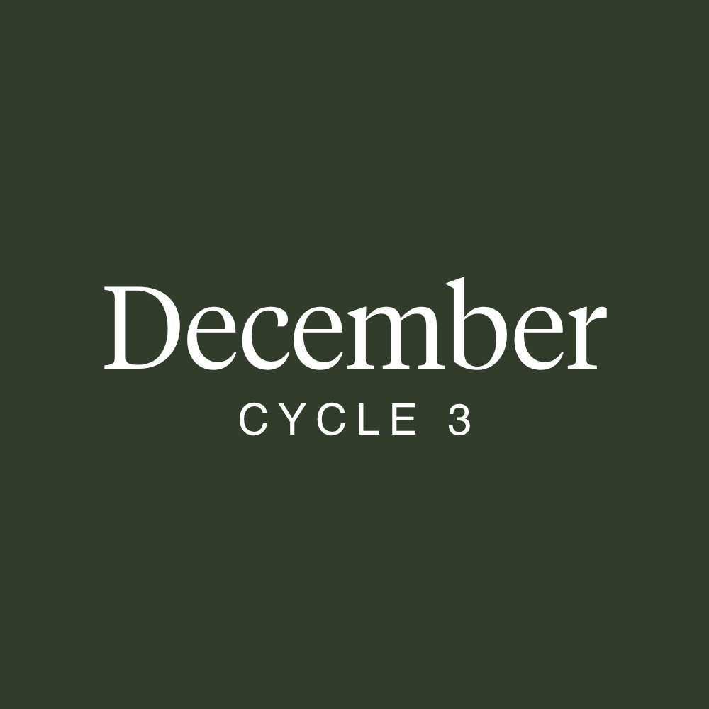 December 2023