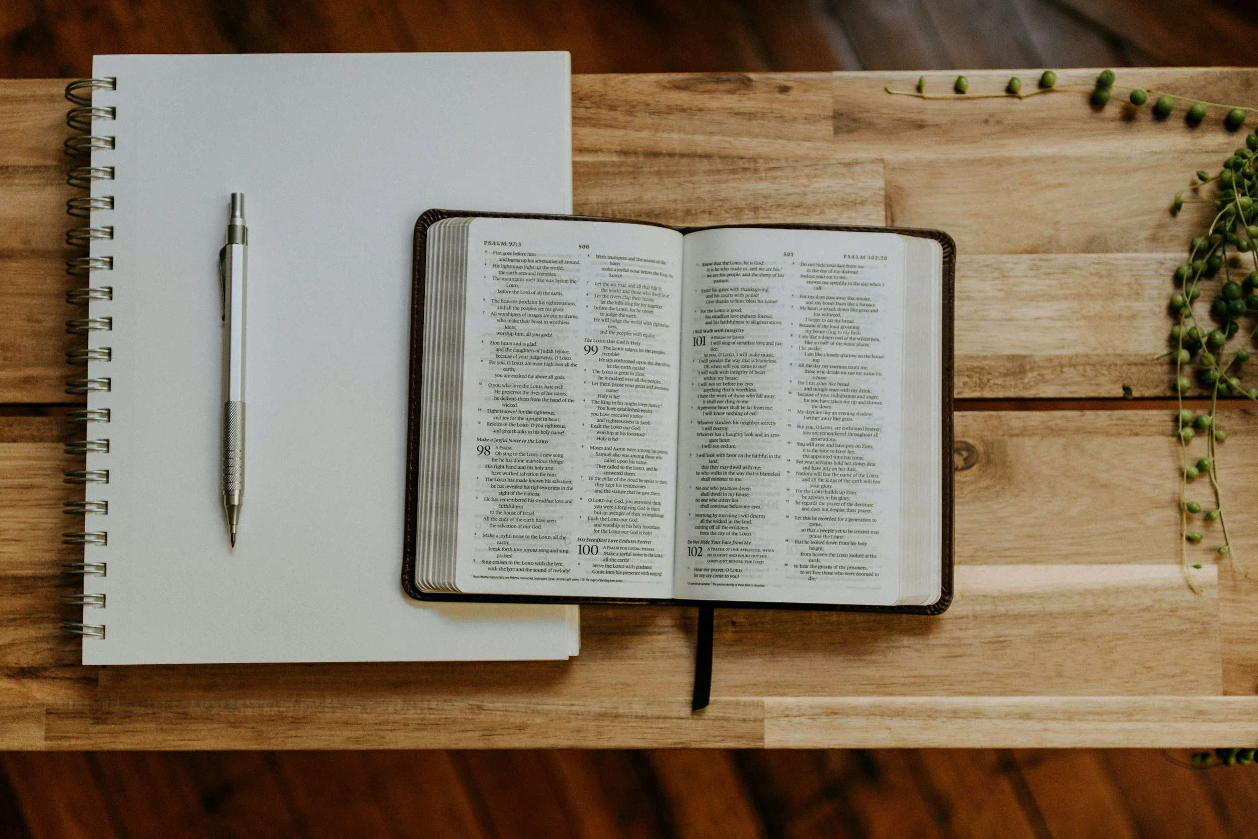 New Adult Sunday School Class