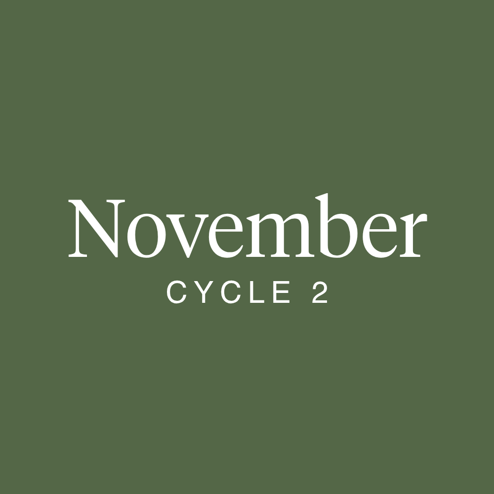 November 2025