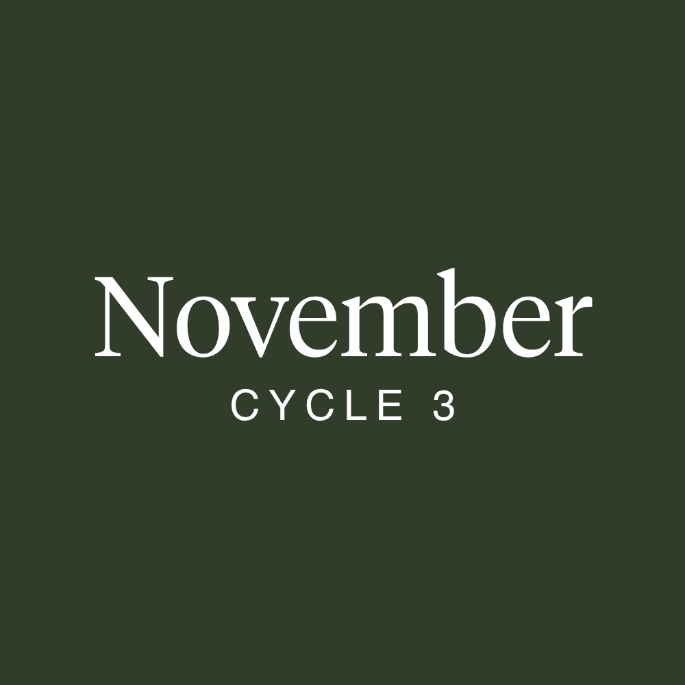 November 2023