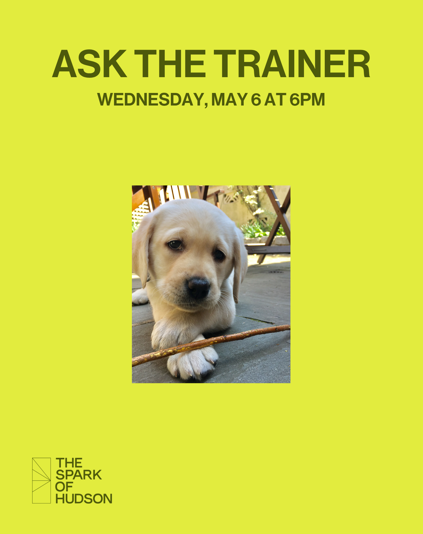 Ask The Trainer