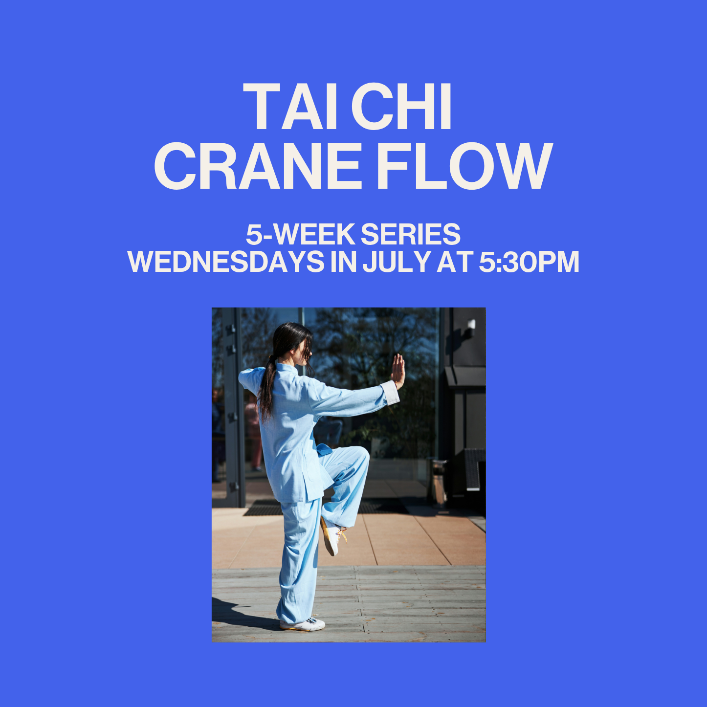 Tai Chi Crane Flow (5 Week Series)